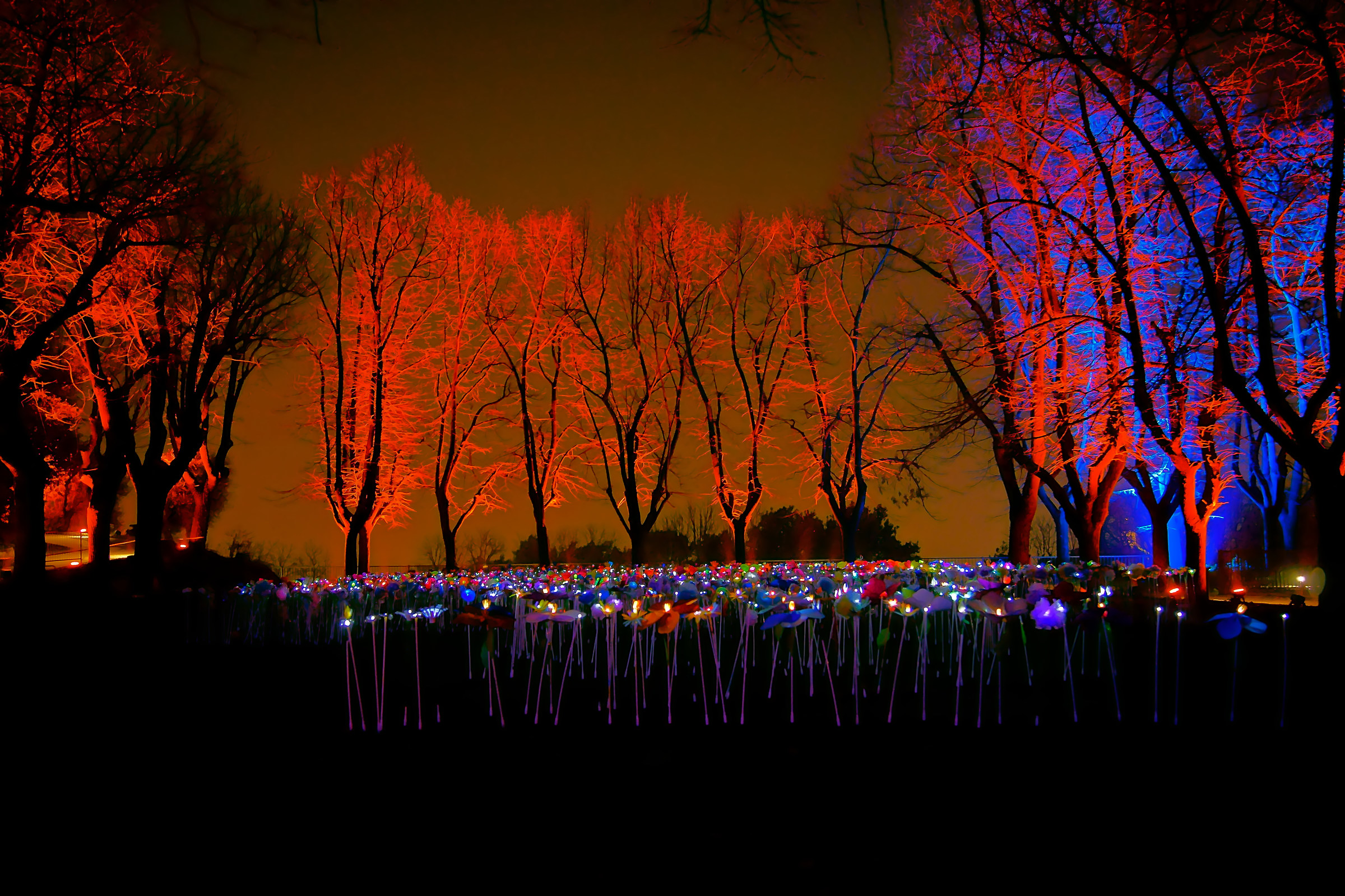 end of Cidneon2017 path