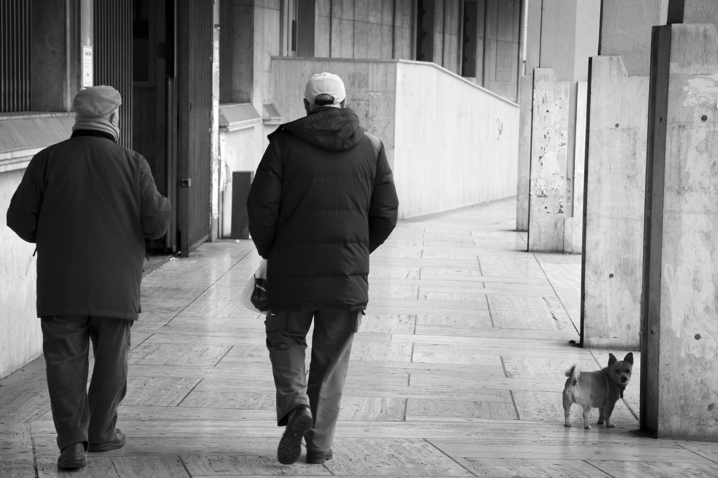 Tranquilli io vi guardo le spalle