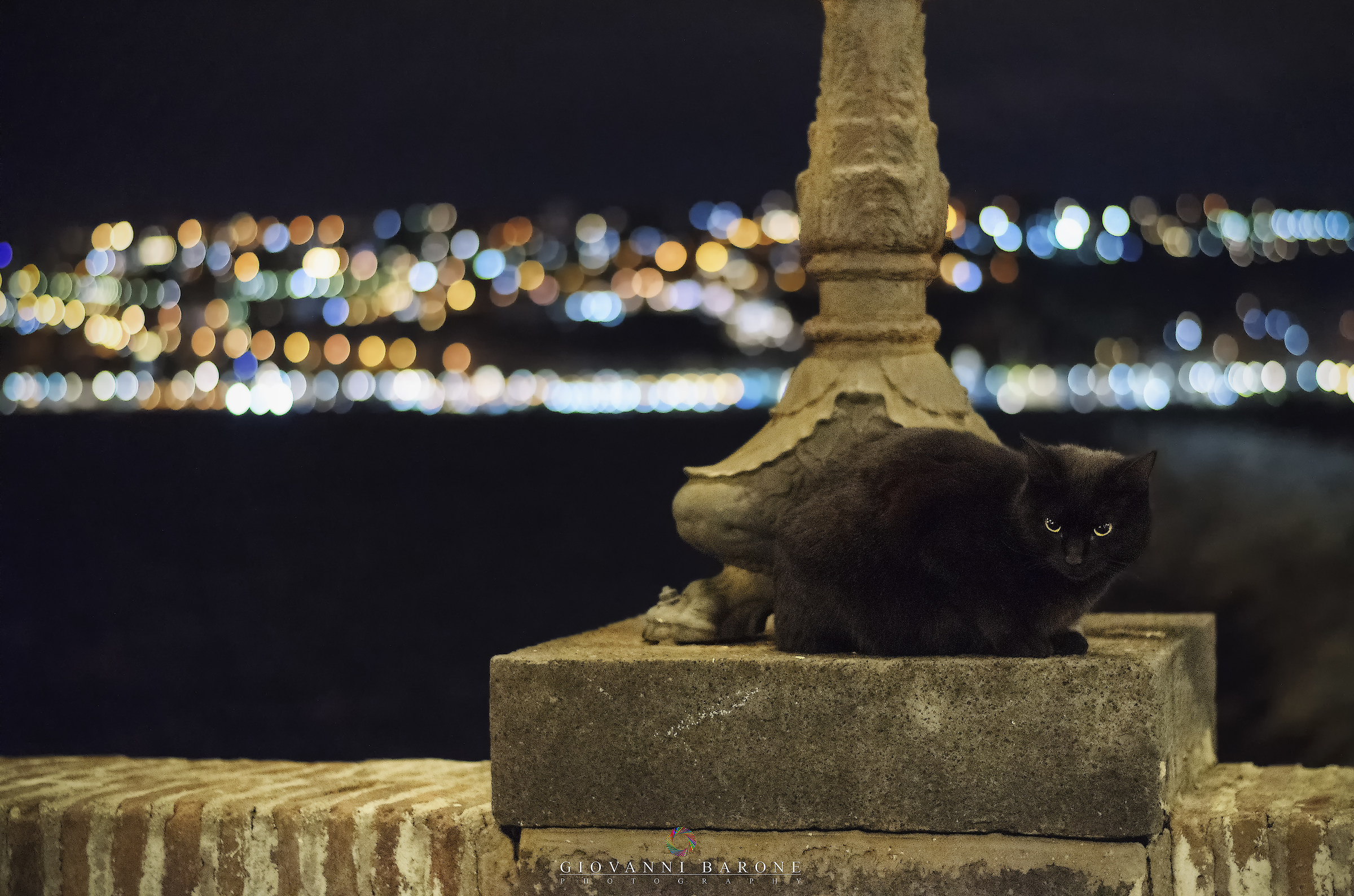 Night Cat to Castel dell'Ovo