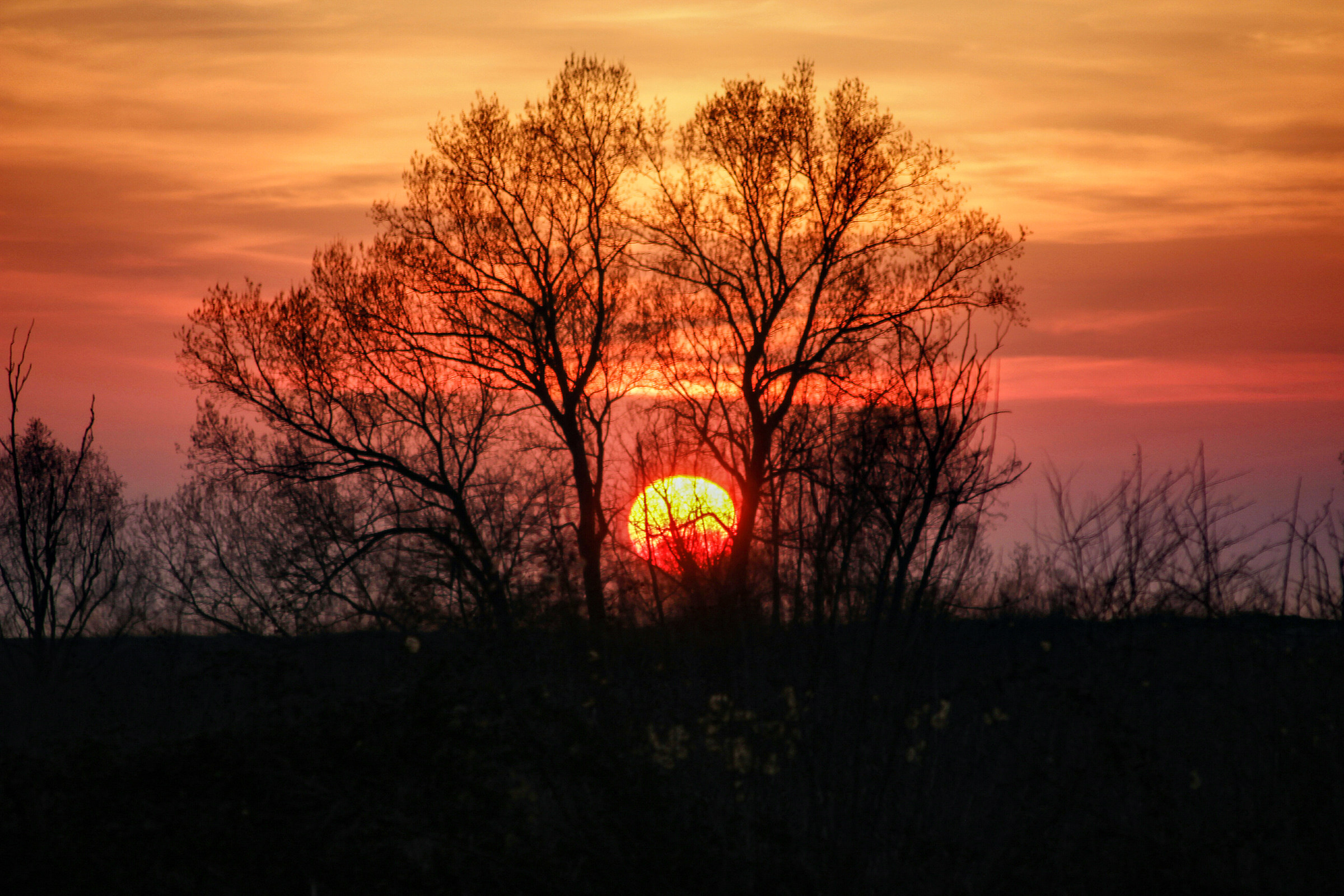 Sunset on the South Adda Park.