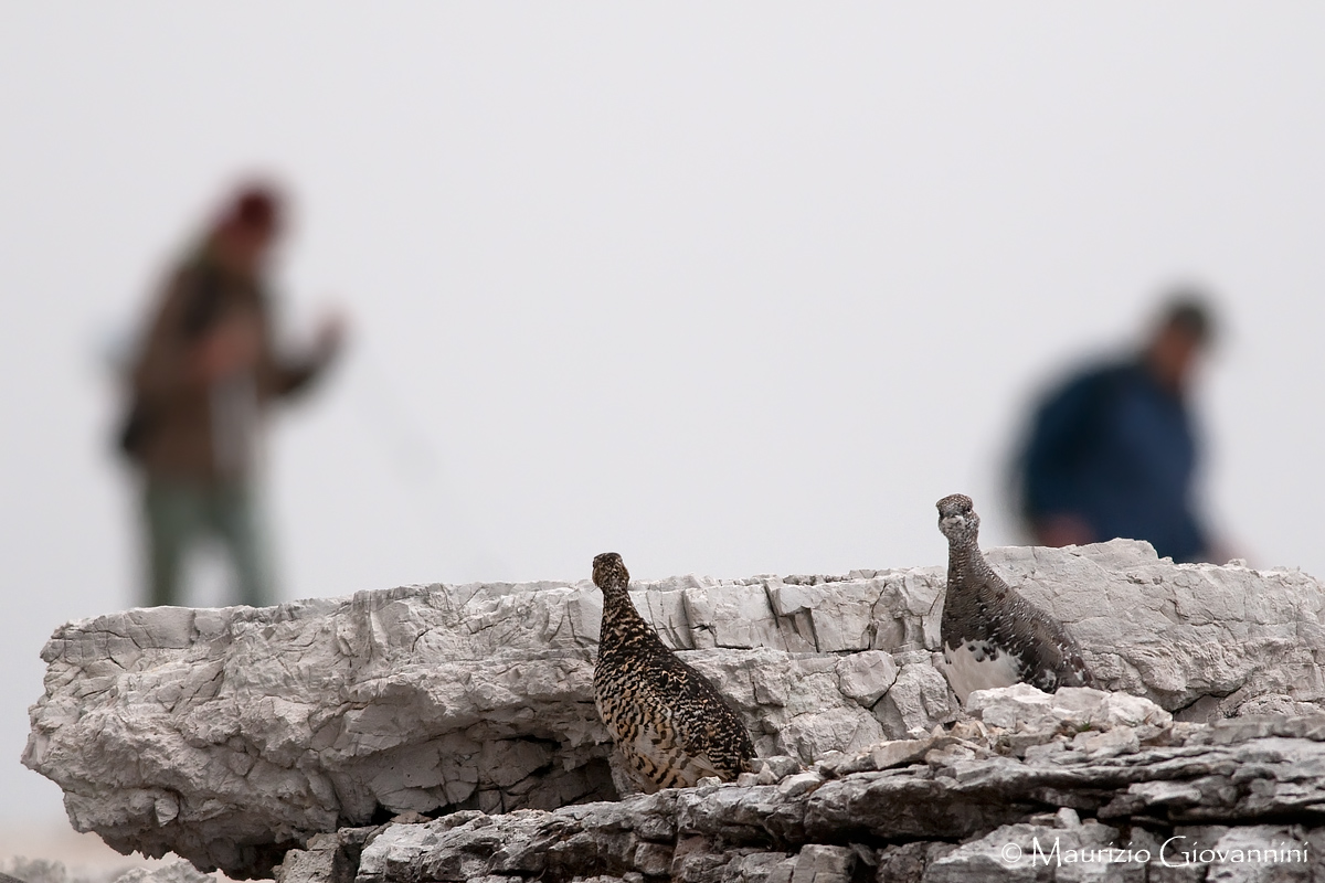 Get down you may not have seen us!!