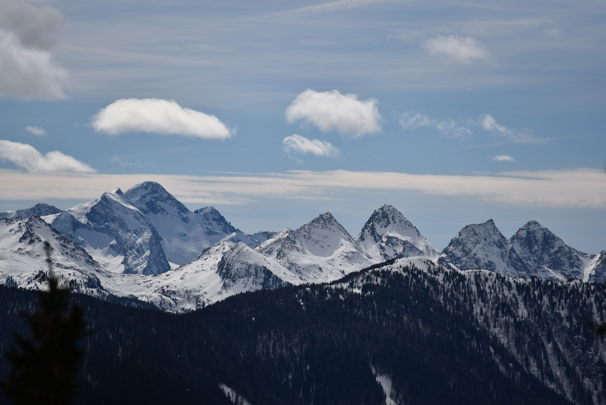 Dal Ciampedie Catinaccio e Torri del Vajolet