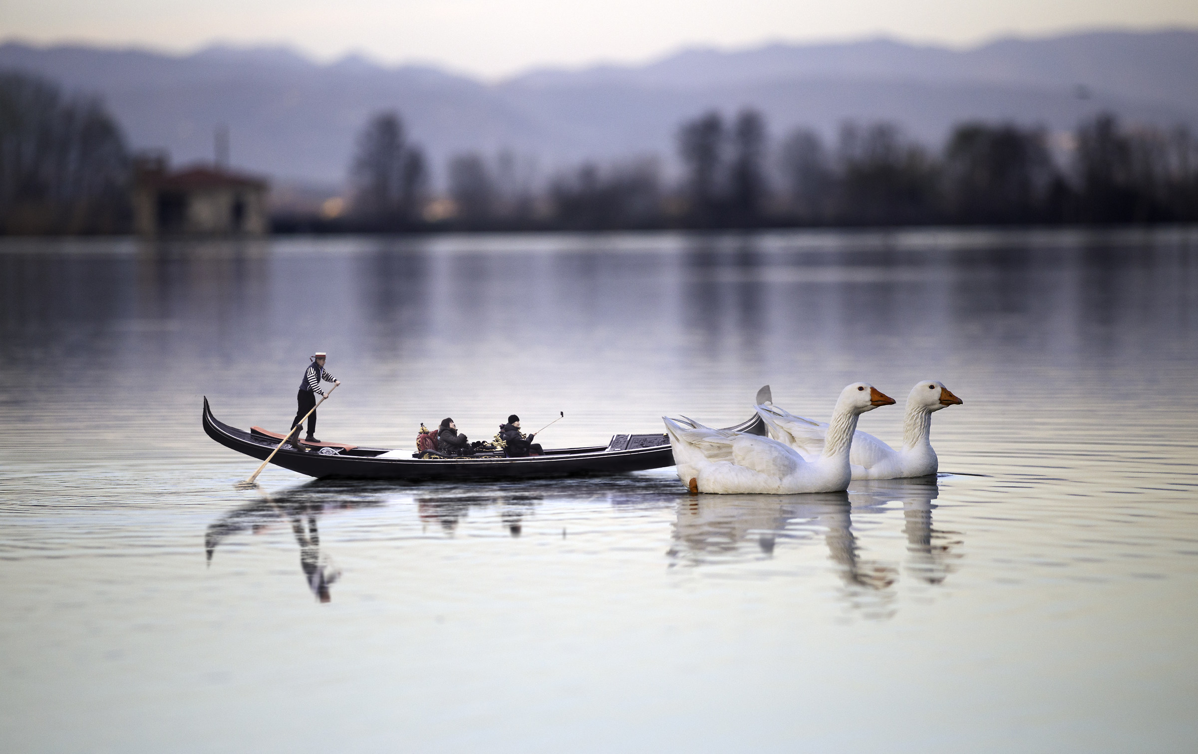 Navigando nella natura
