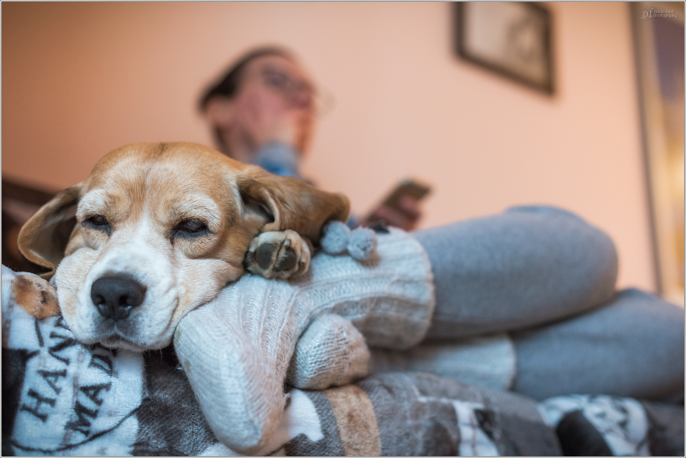 Una domenica impegnativa