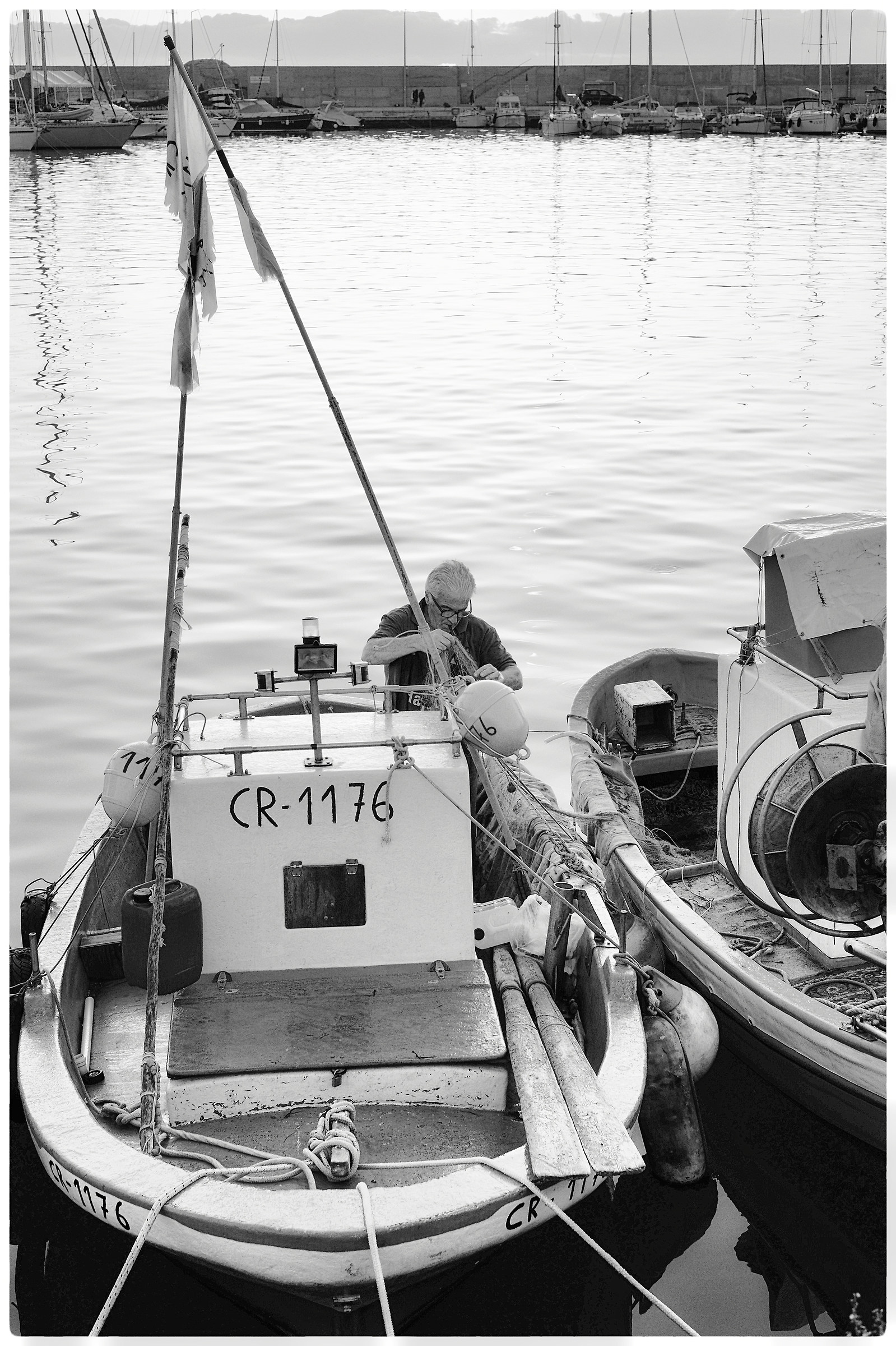 We are preparing for the release into the sea!