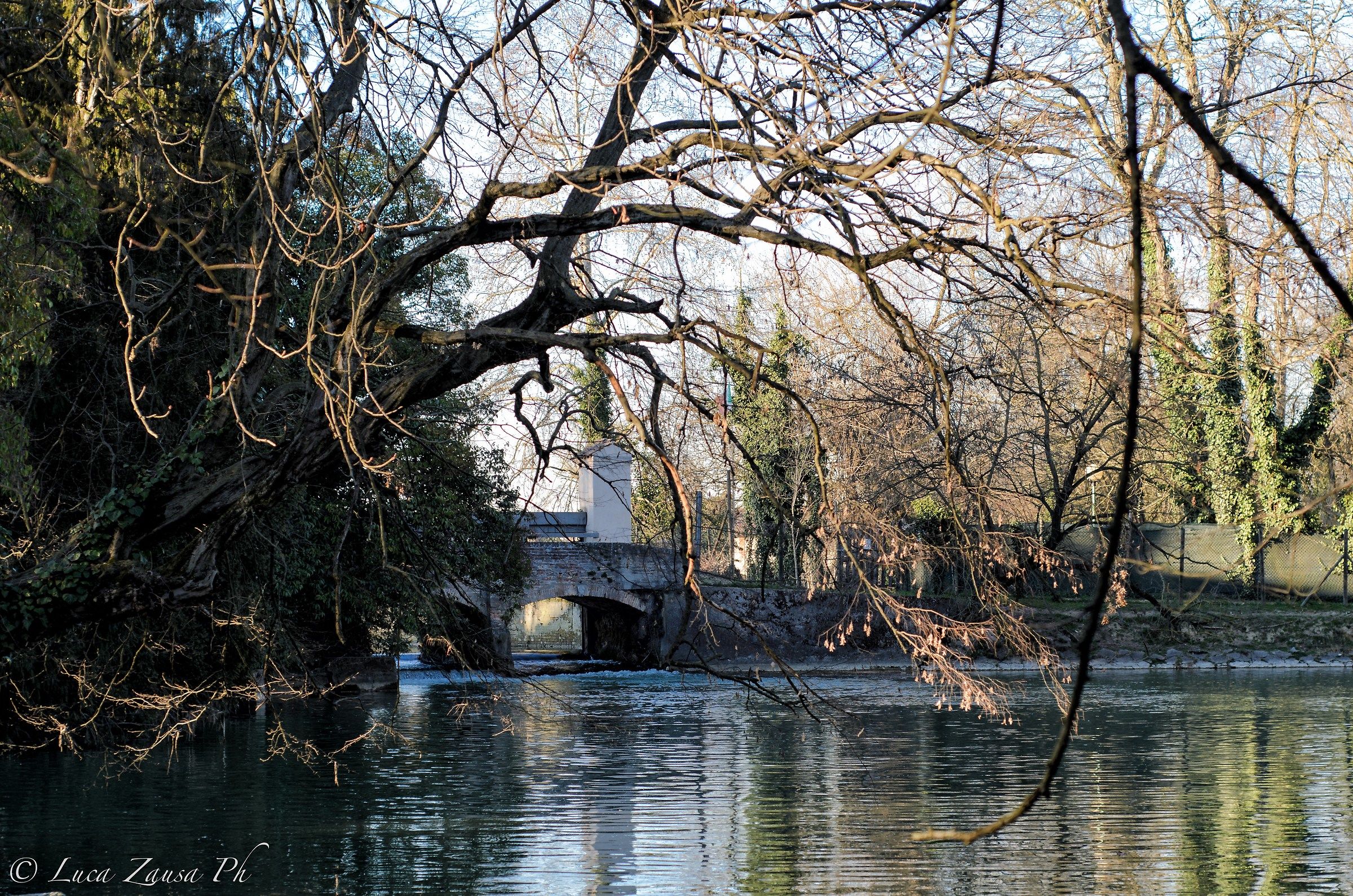 Mills of Mirano (ve)