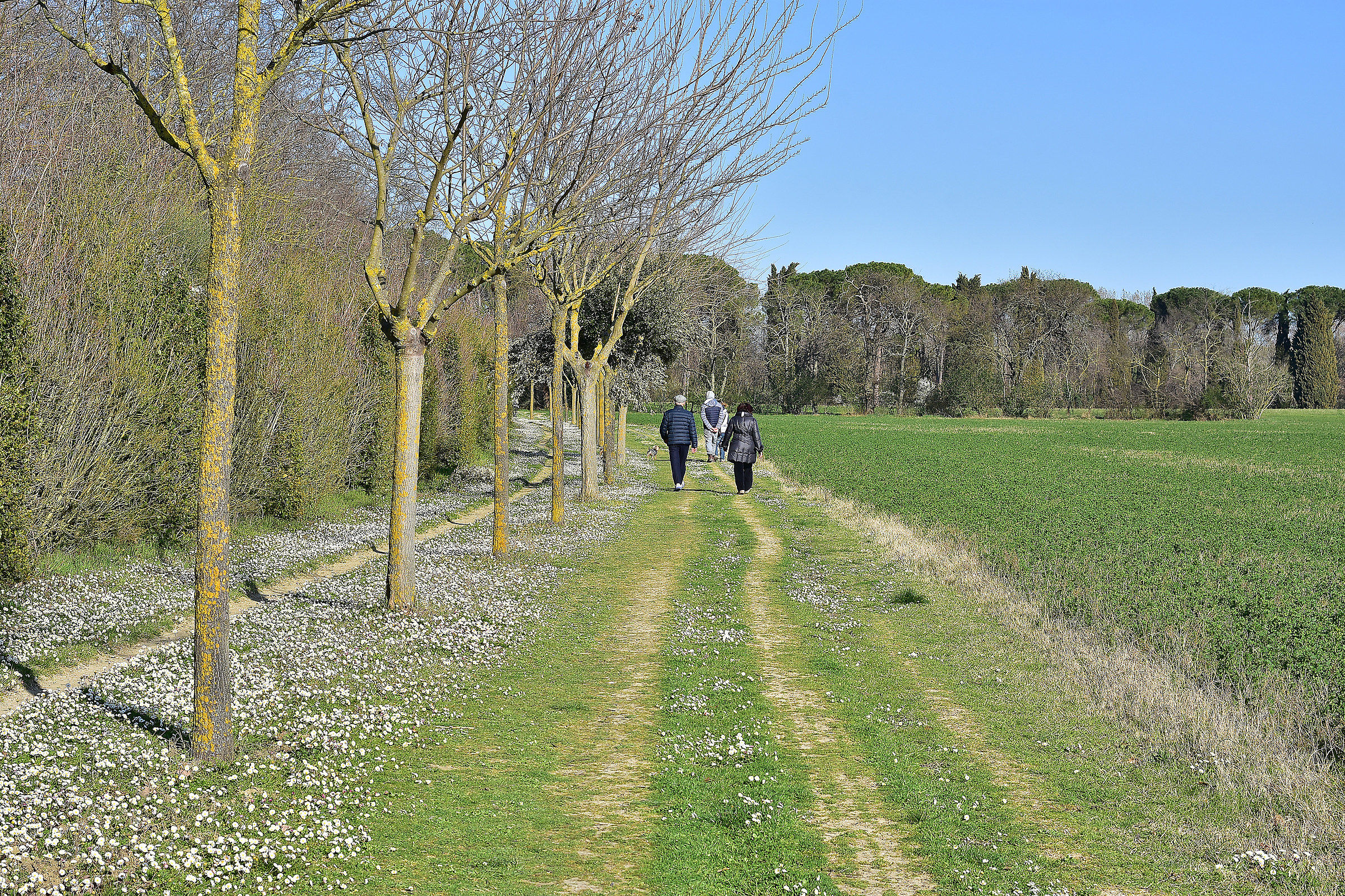 dell'Abbadia Park Chiaravalle in Fiastra (mc)
