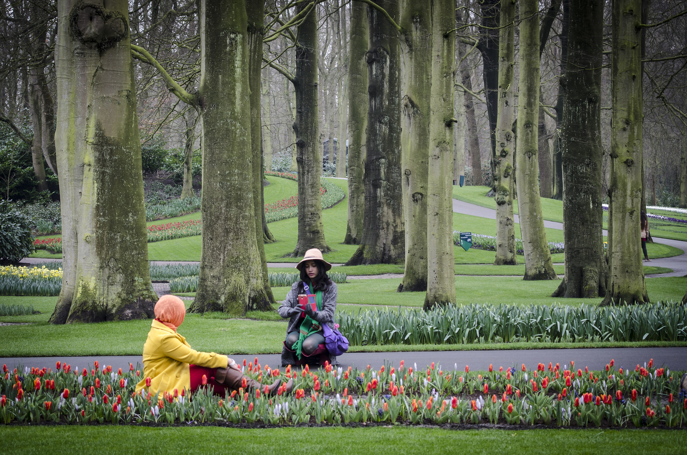 Keukenhof Park - Holland