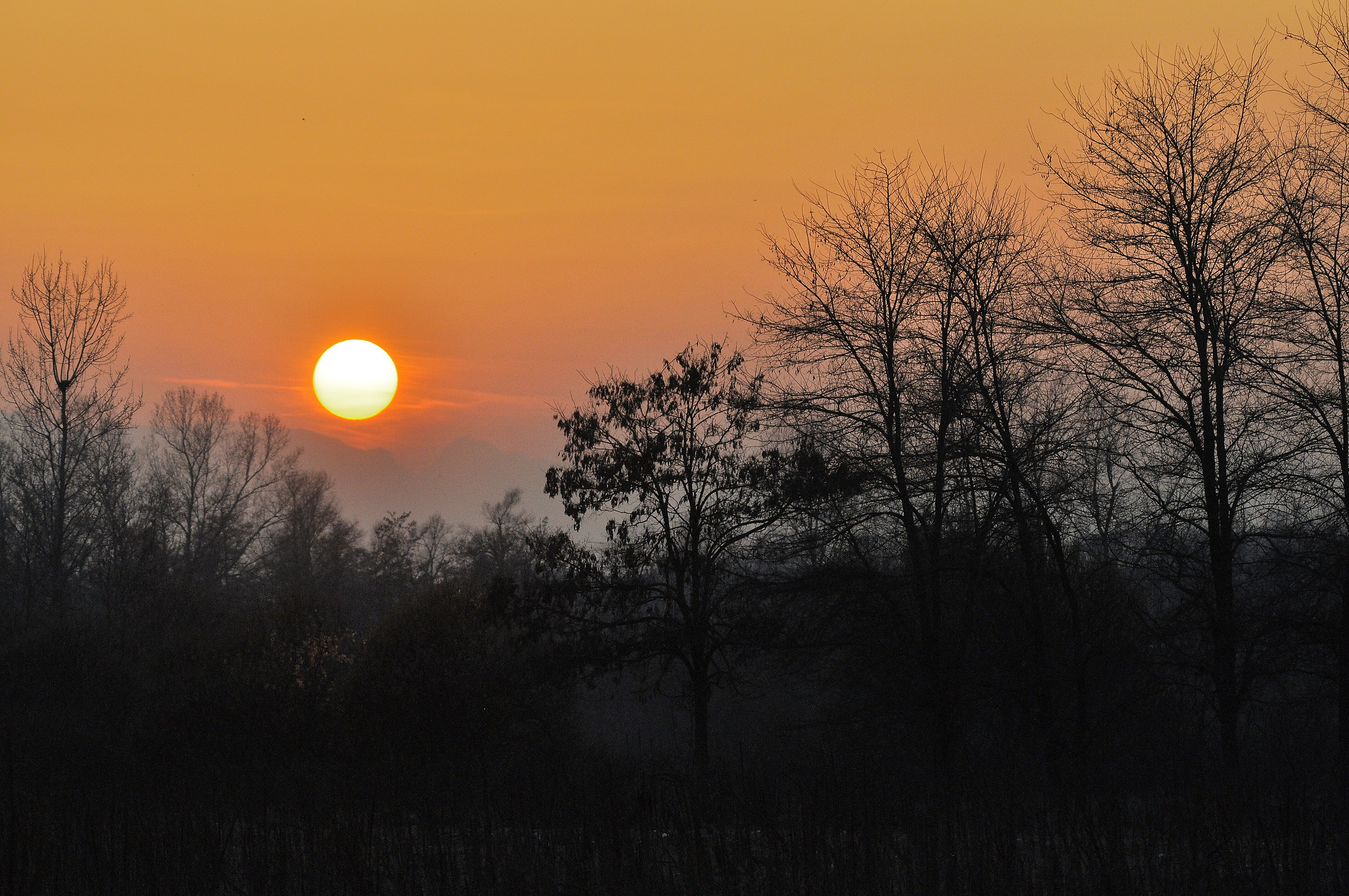 Red sky at night ...
