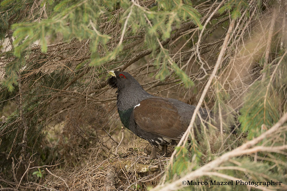 Even for just a little but did you see