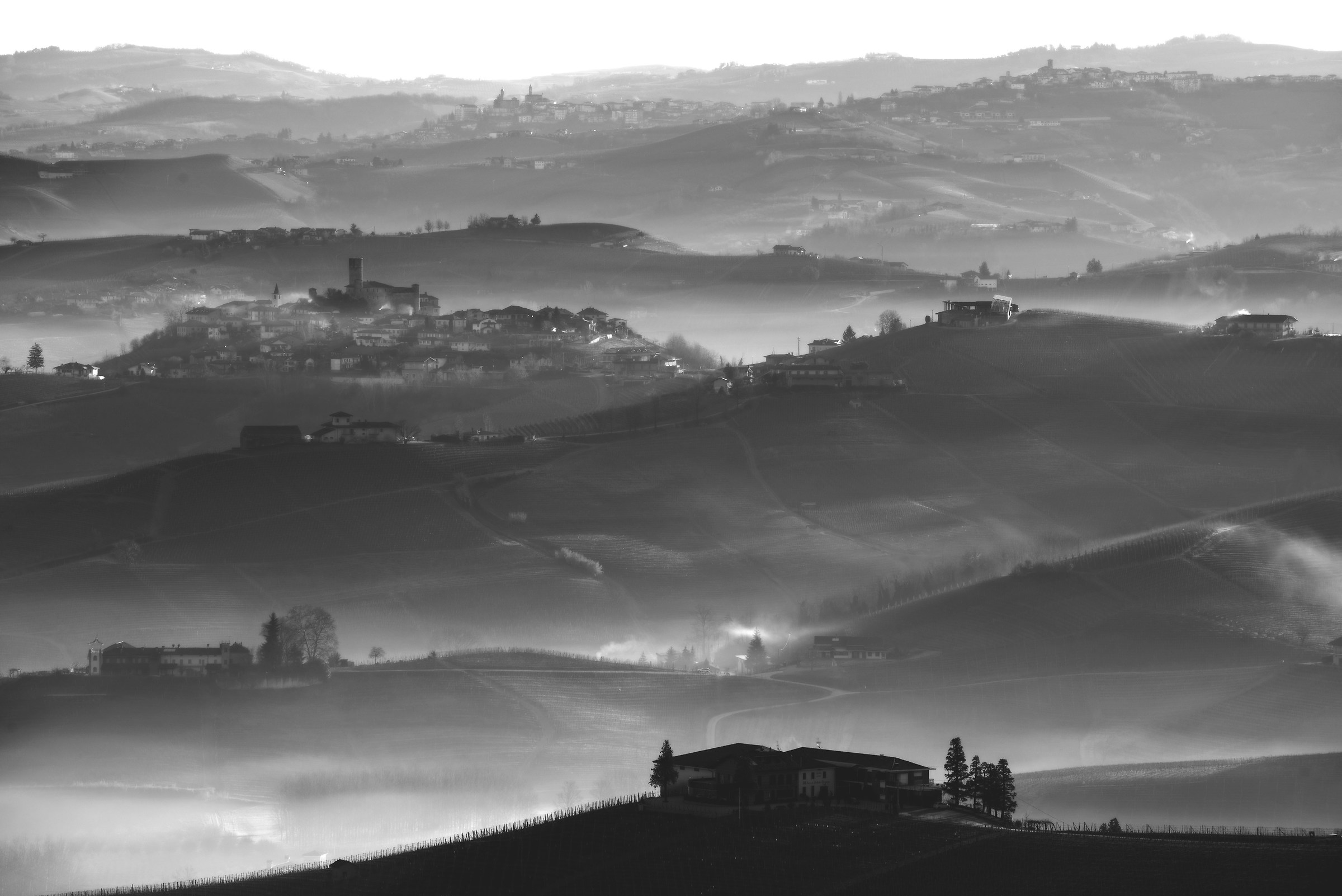 Langa landscape in b&w