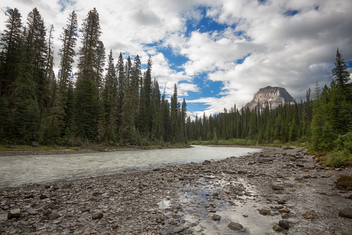 Yoho river