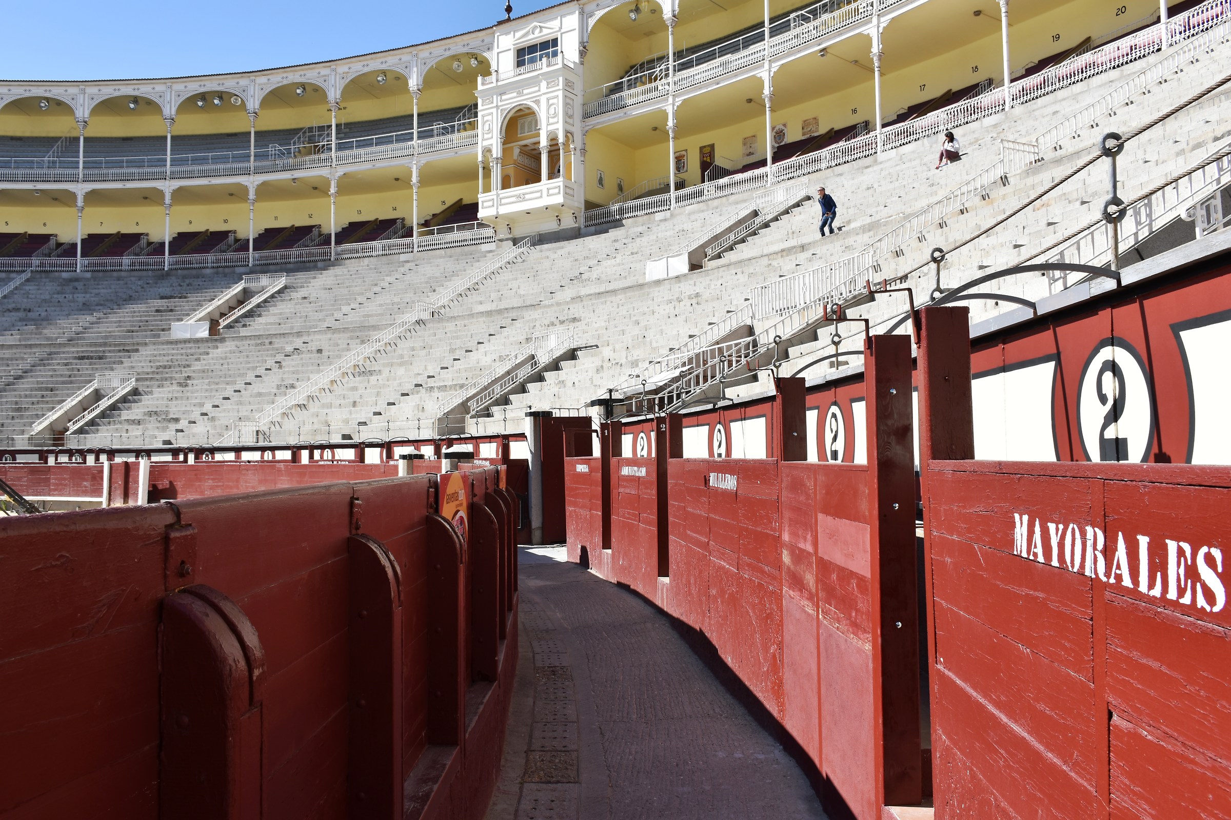 internal bullfighting