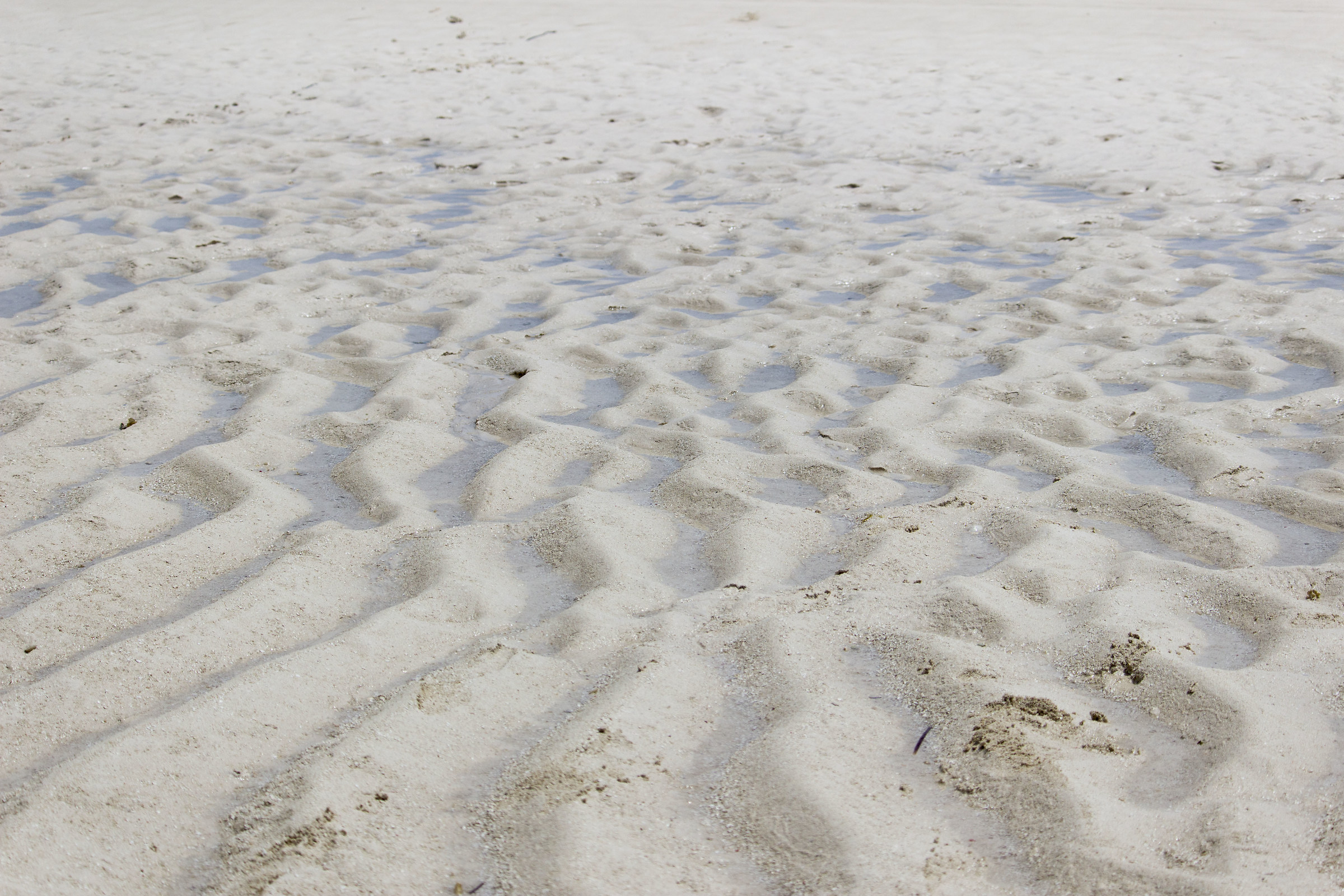 The beach at low tide