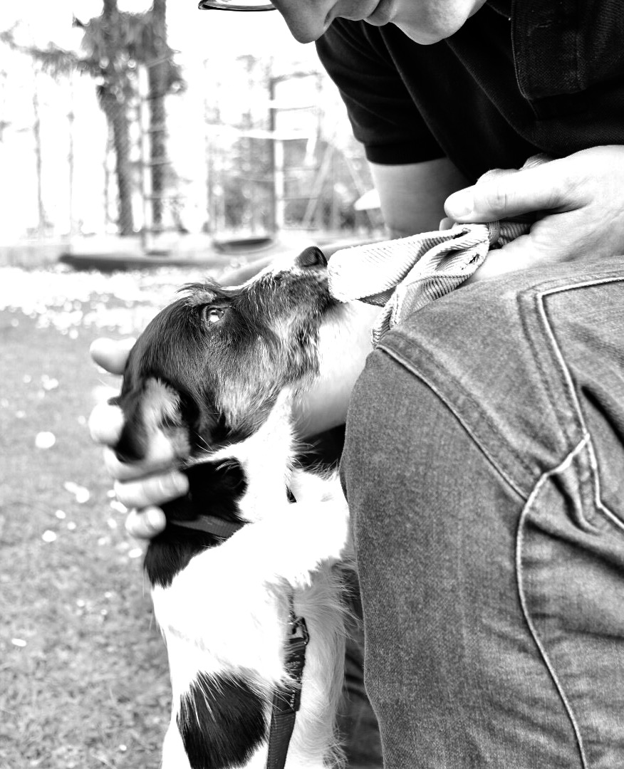 Farei di tutto per te