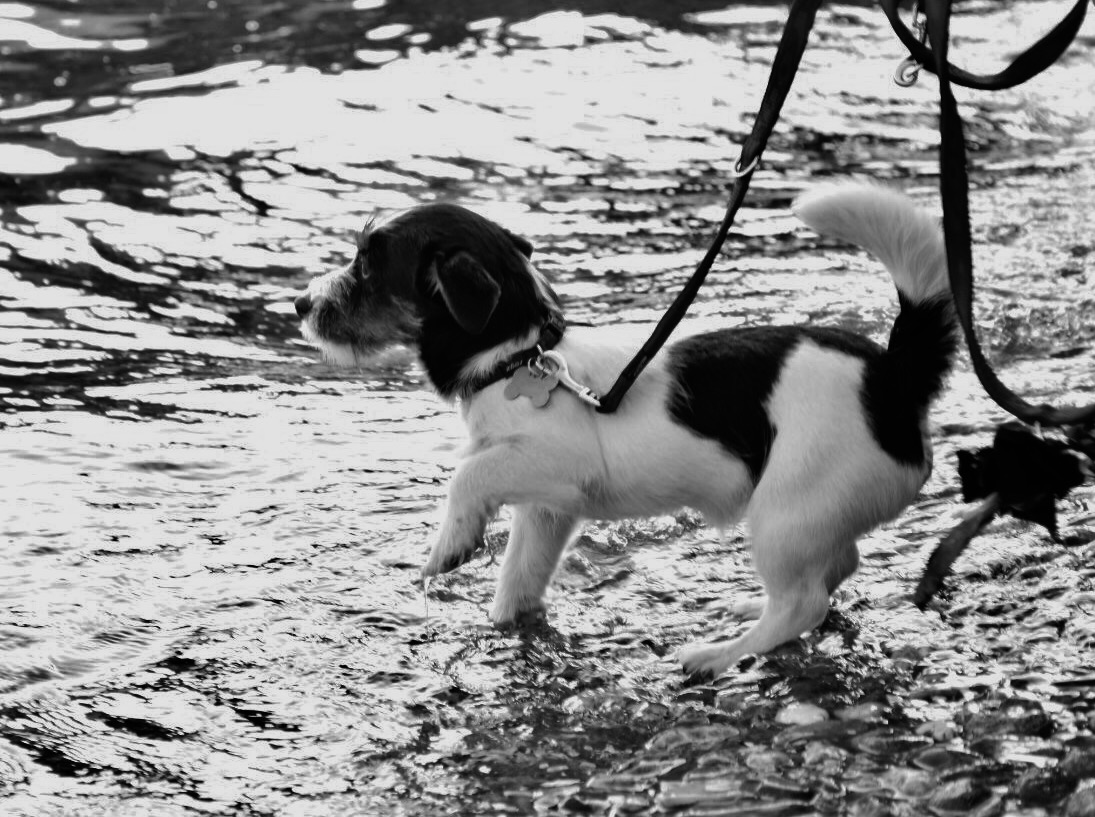 Primo bagnetto al lago