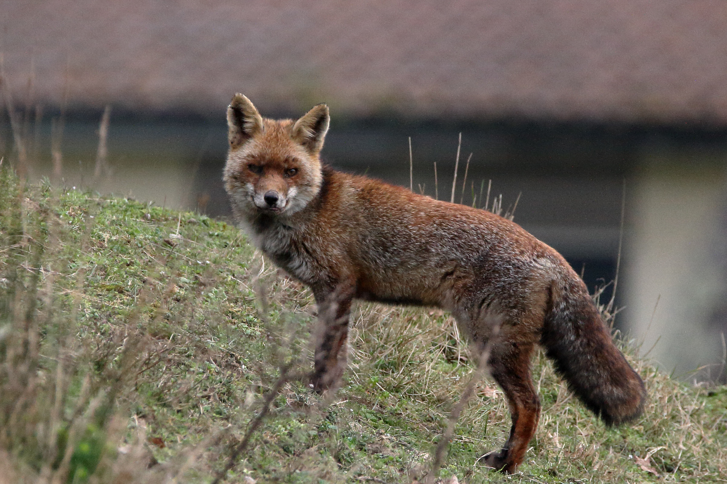 What are you doing here?