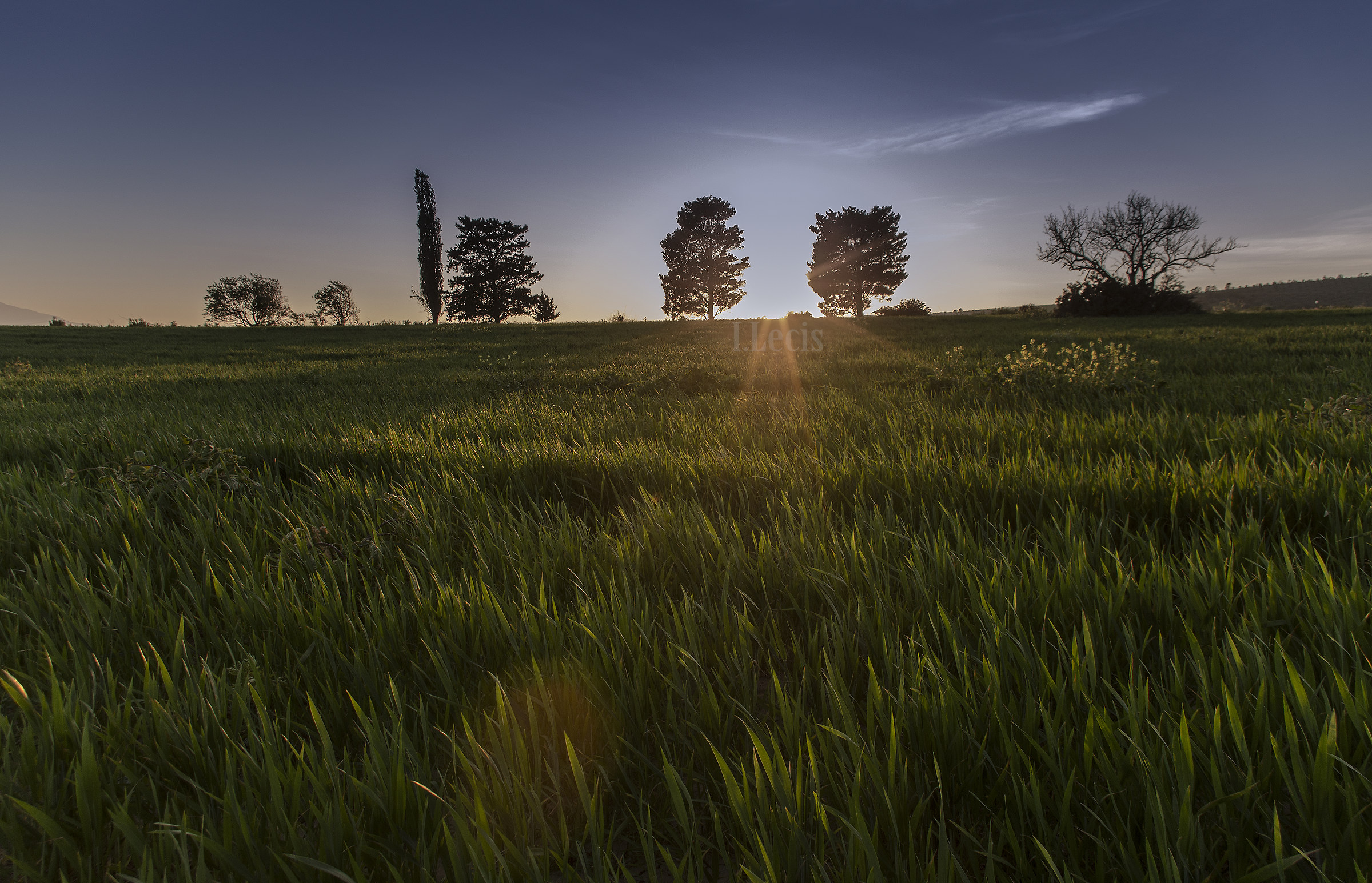 Il lungo il corto e il pacioccone