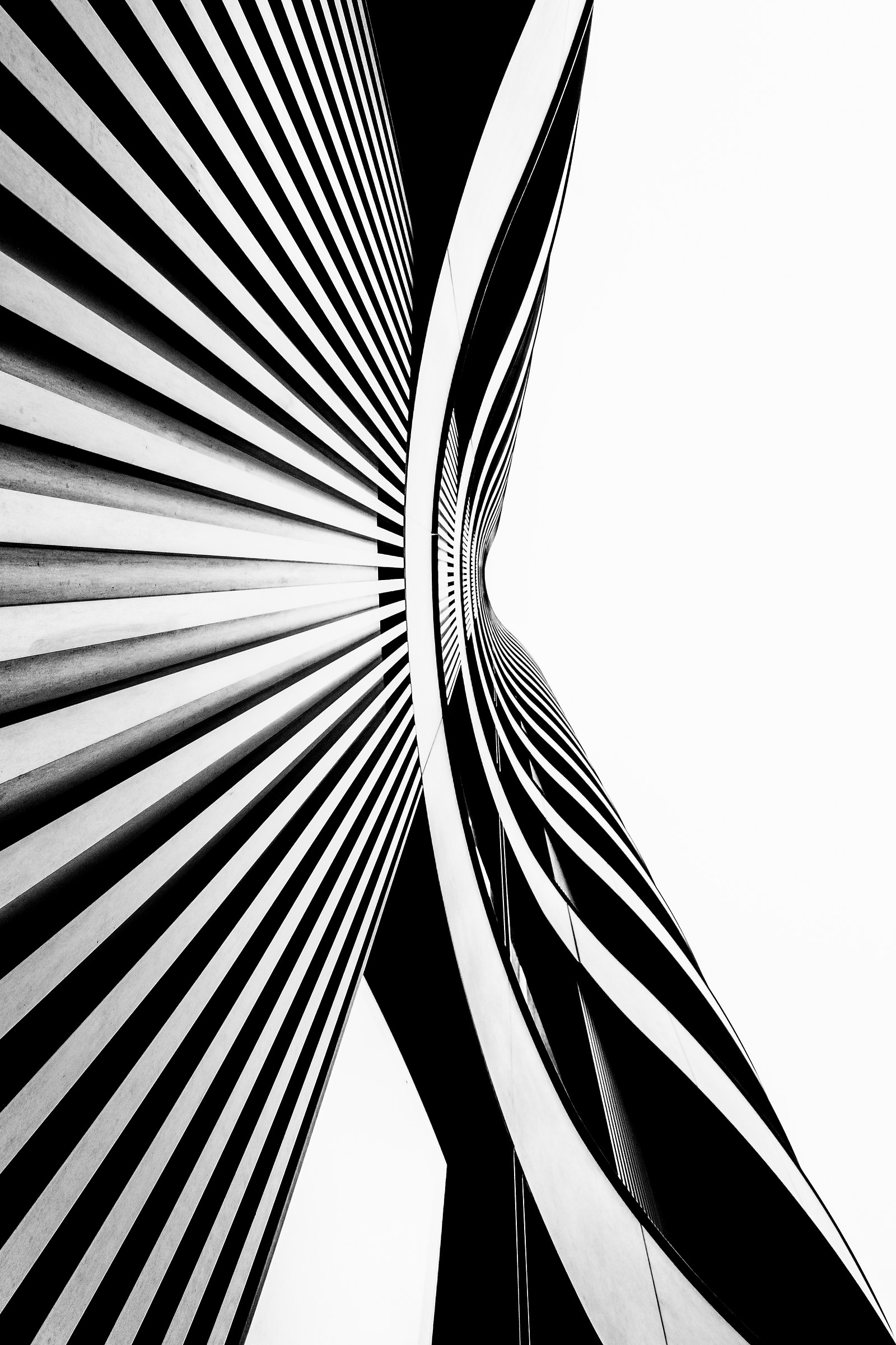 The Battle For Supremacy