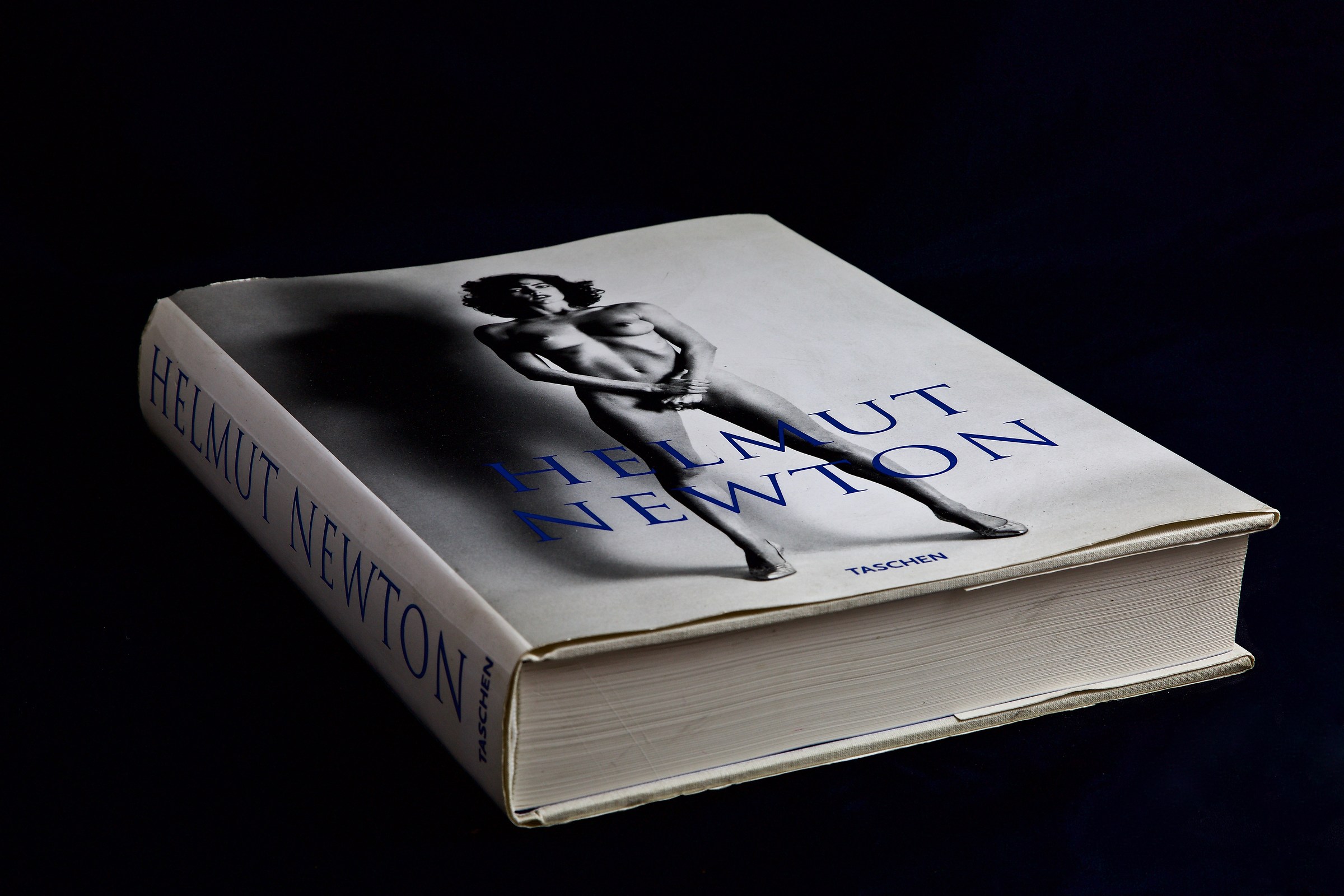 Omaggio a Helmut Newton 1