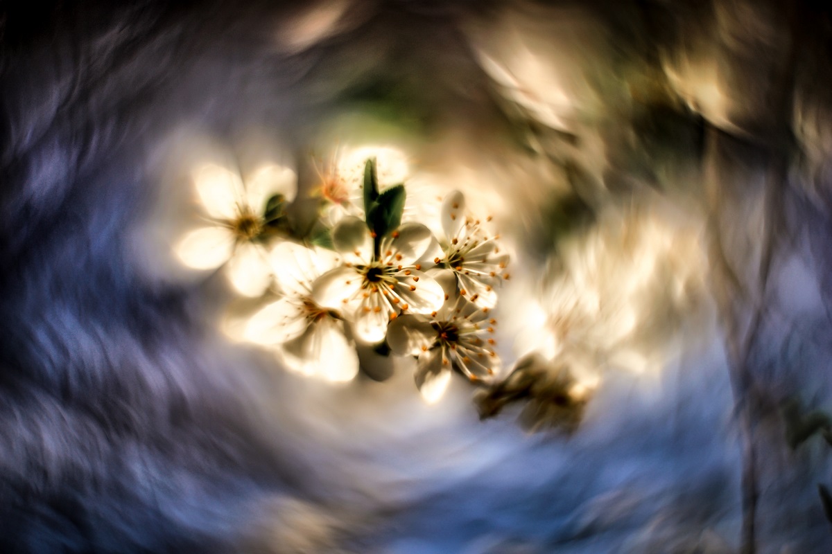 a due giorni dalla primavera