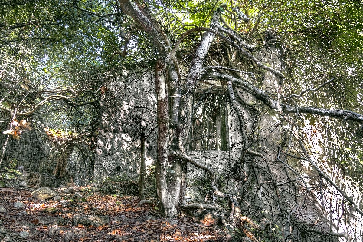 60 anni dopo l'uomo,MG7_2550