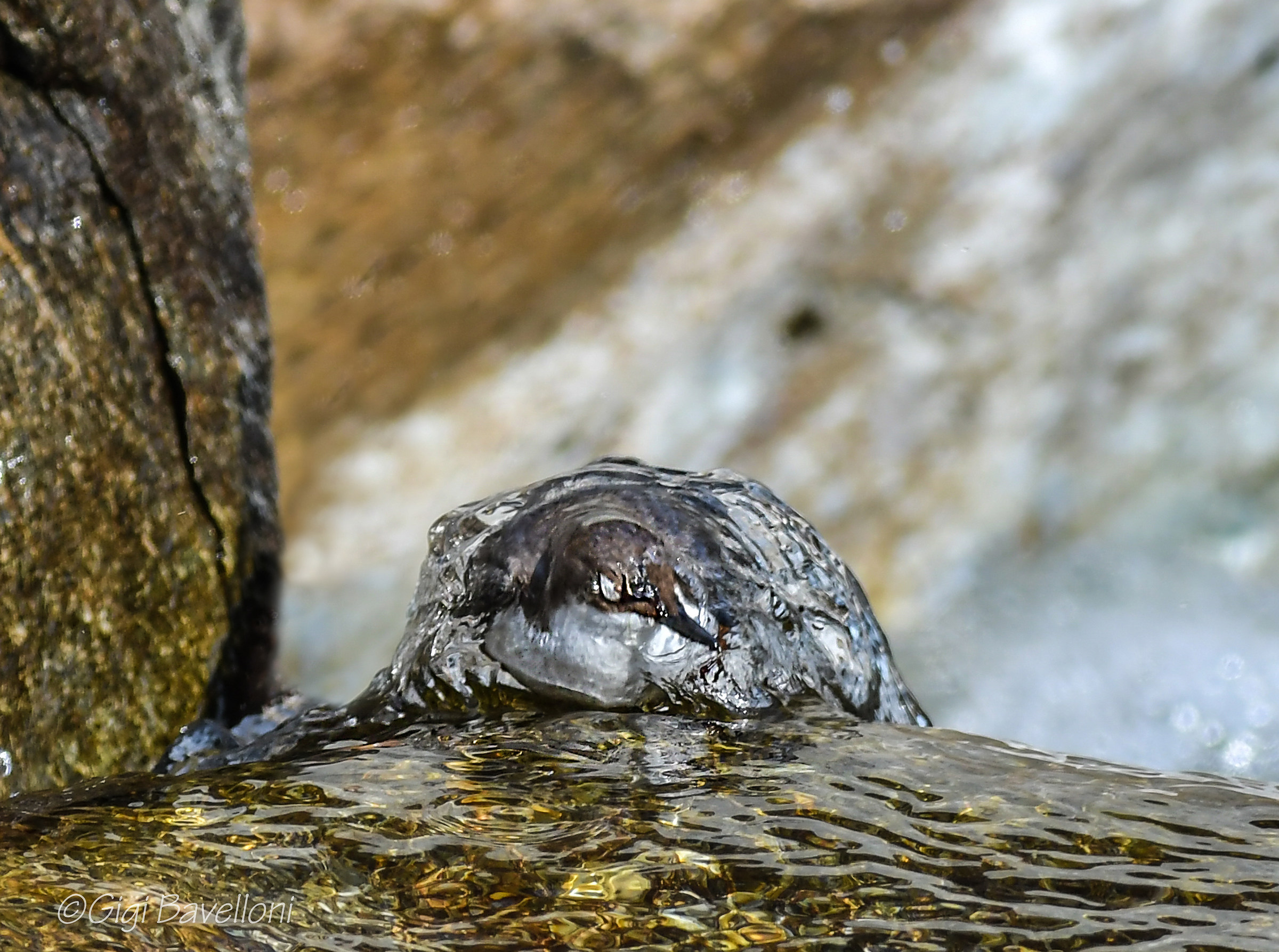 in una bolla d'acqua