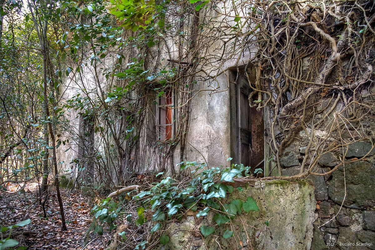 60 anni dopo l'uomo,MG7_2514