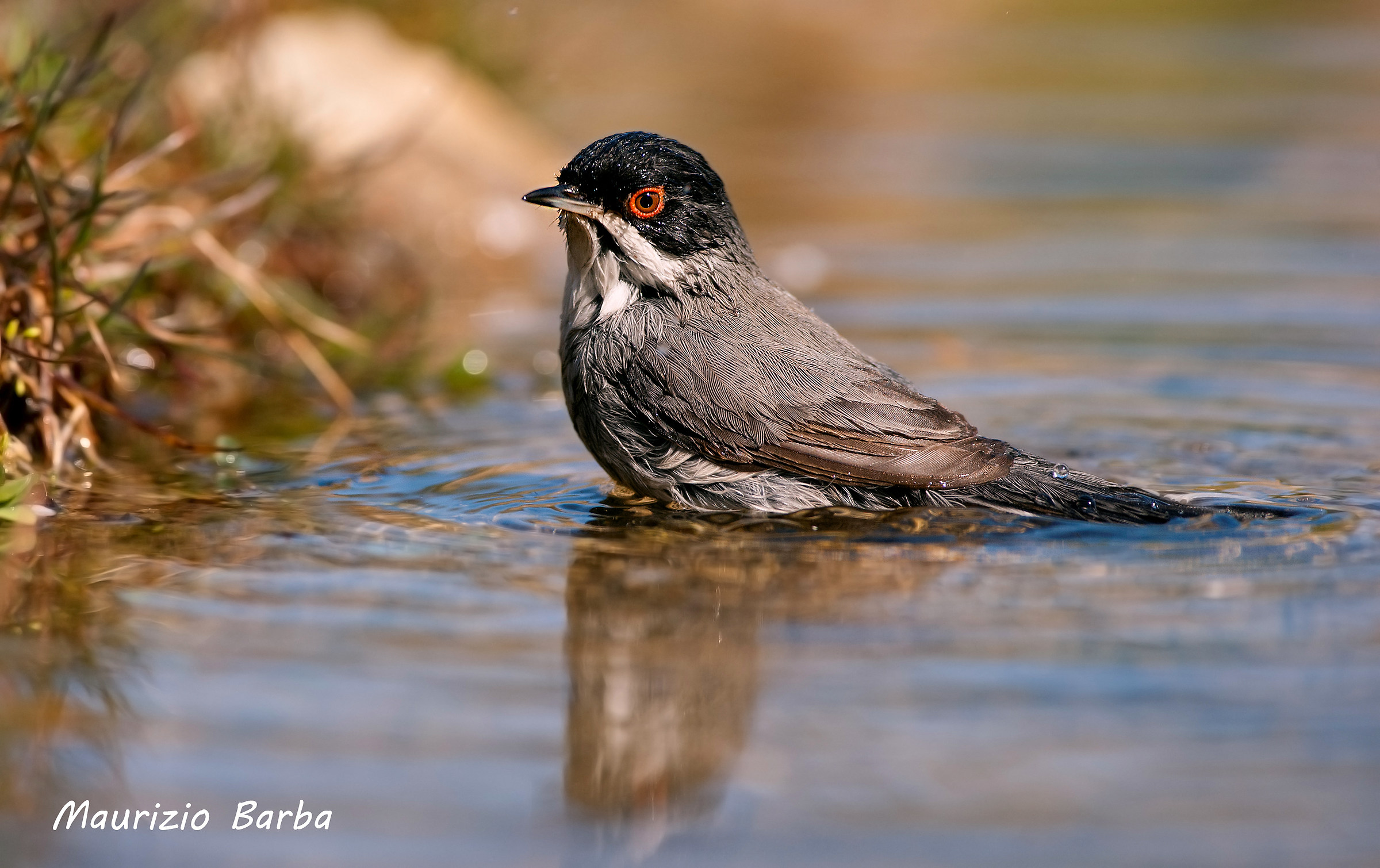 occhiocotto al bagno