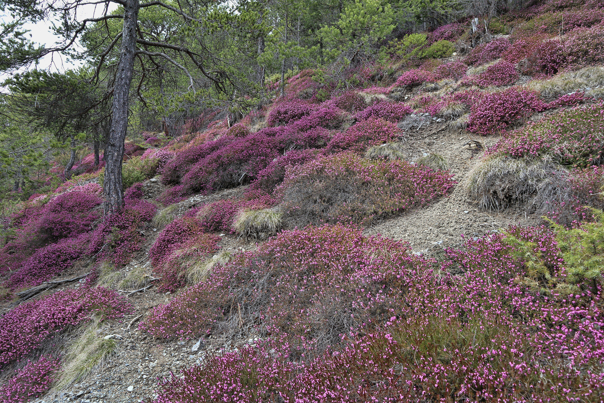 un appuntamento da non perdere