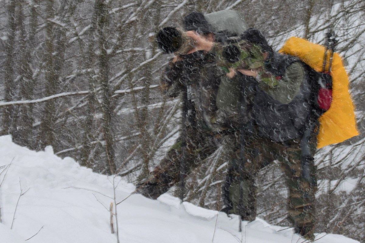Fotonaturalisti nella tormenta