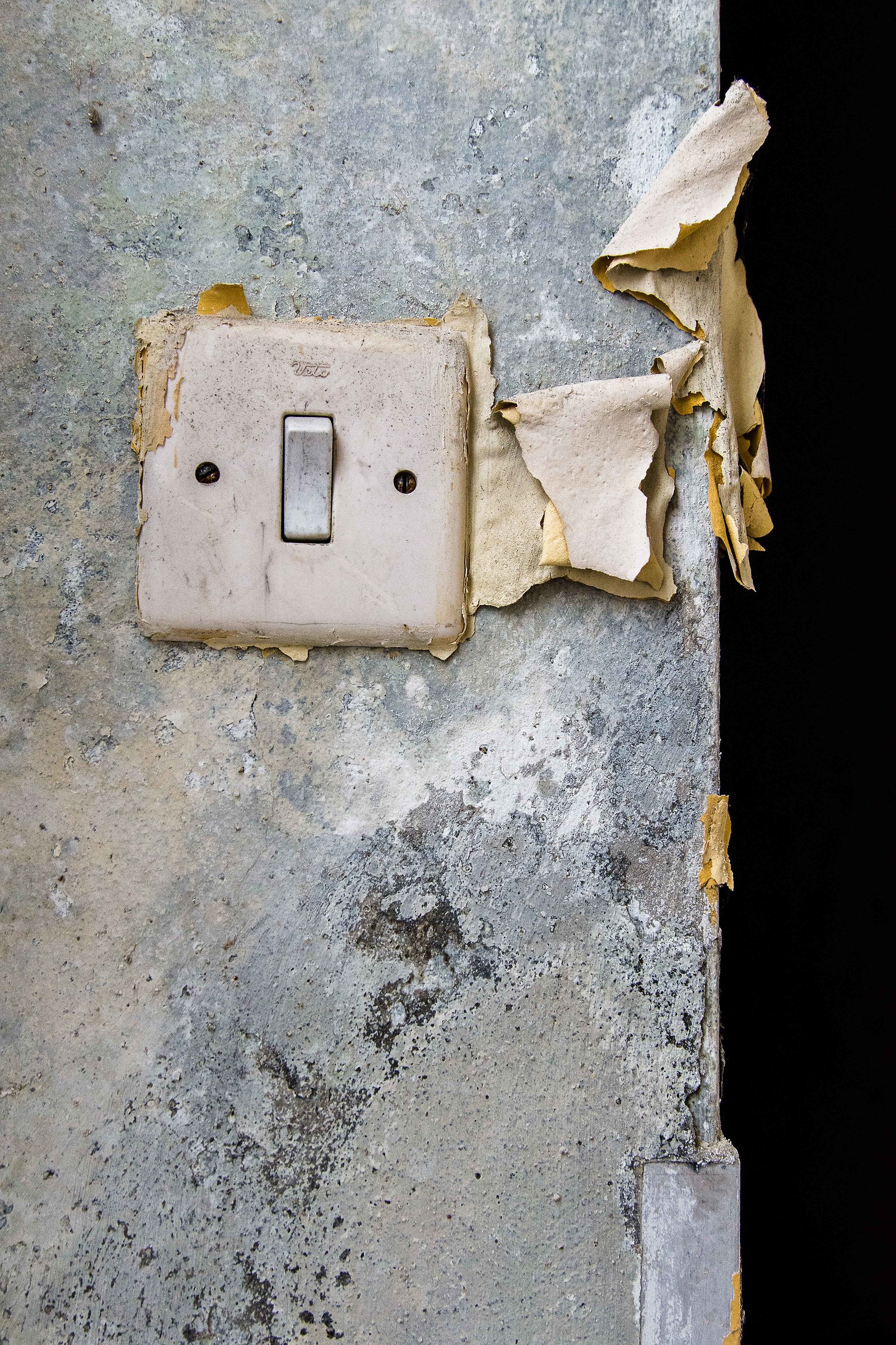 Dettagli in manicomio