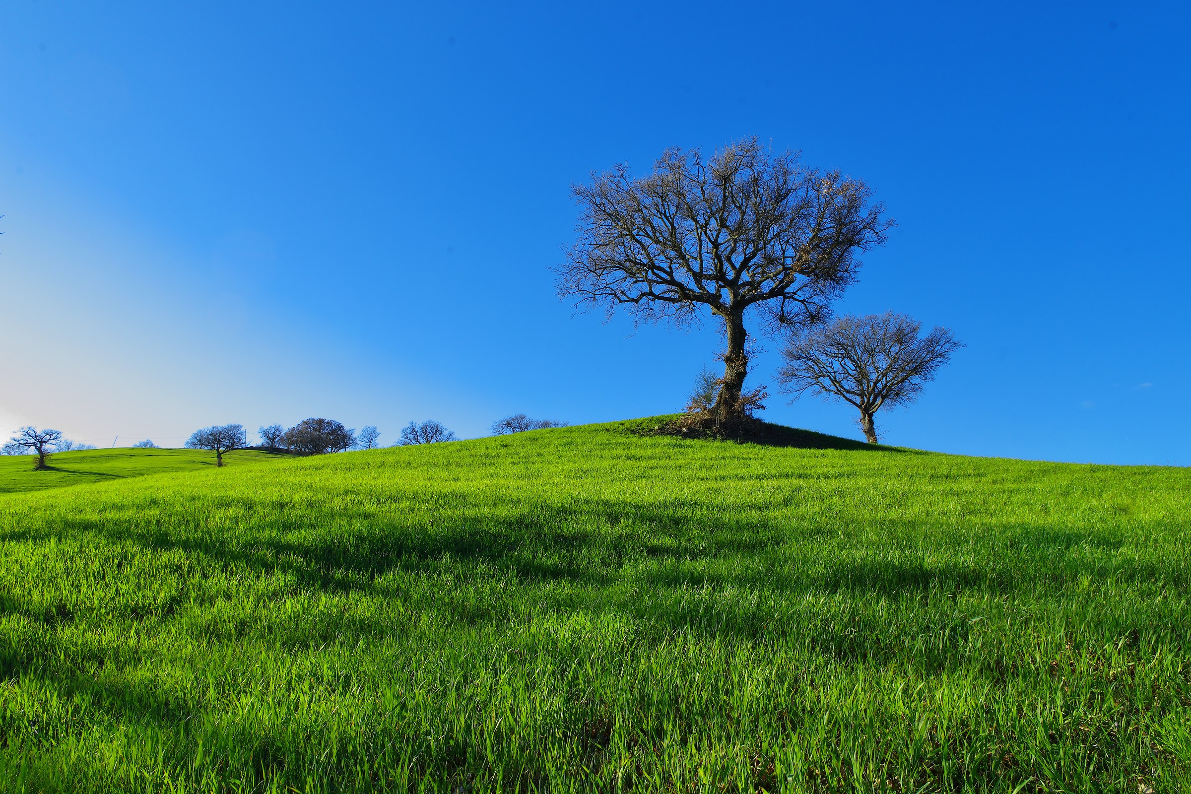 Aspettando il ritorno alla vita