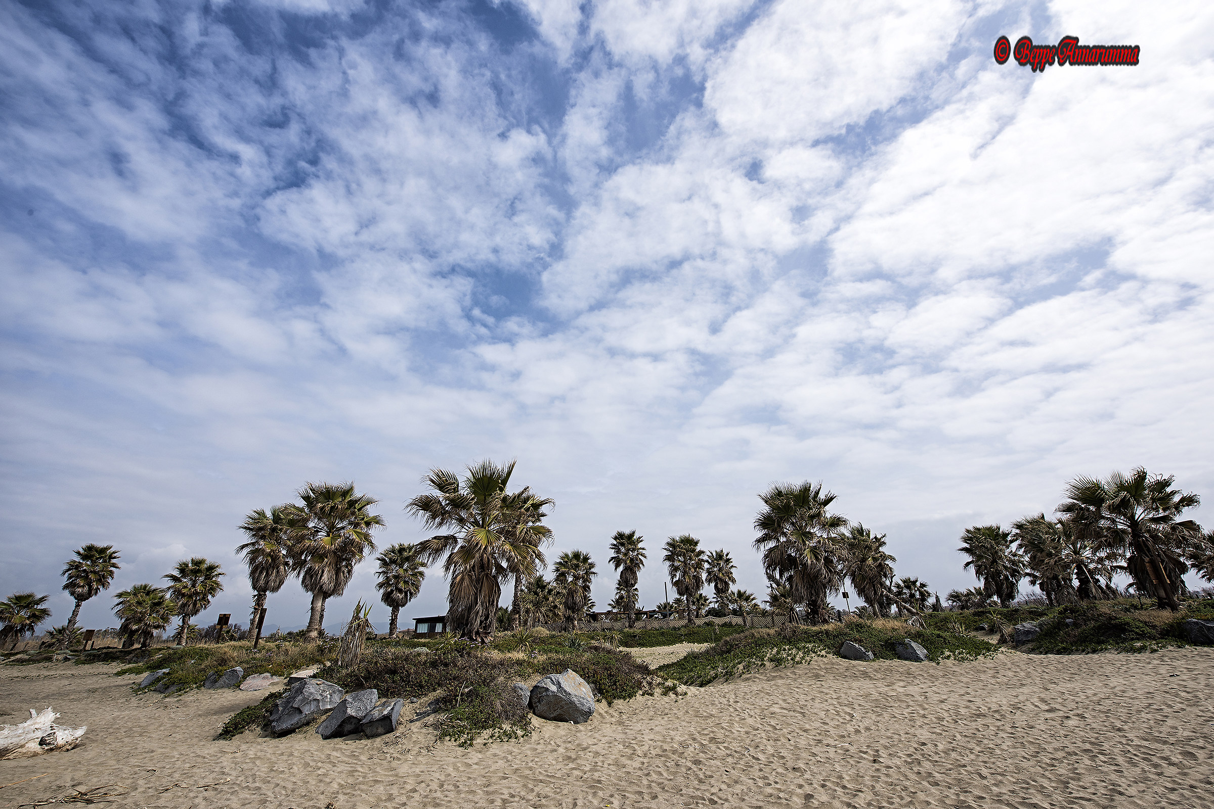 Spiaggia di Torre Flavia