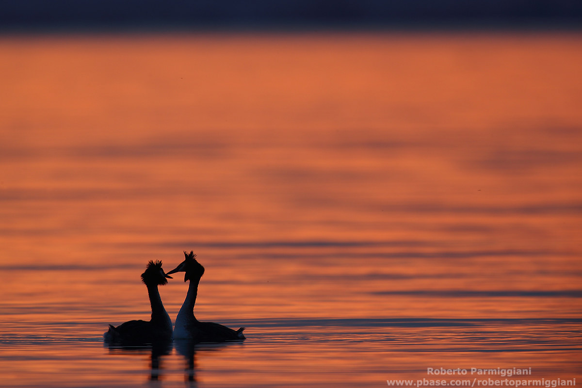 Tramonto romantico(2)