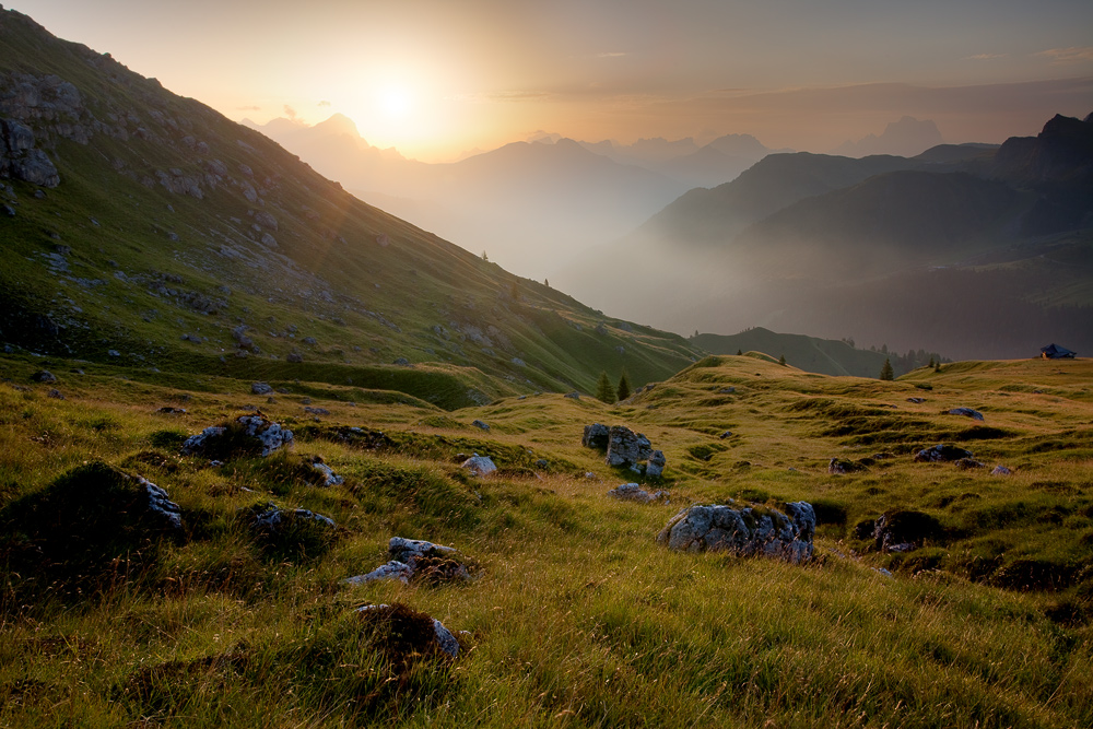 il mattino ha l'oro in bocca