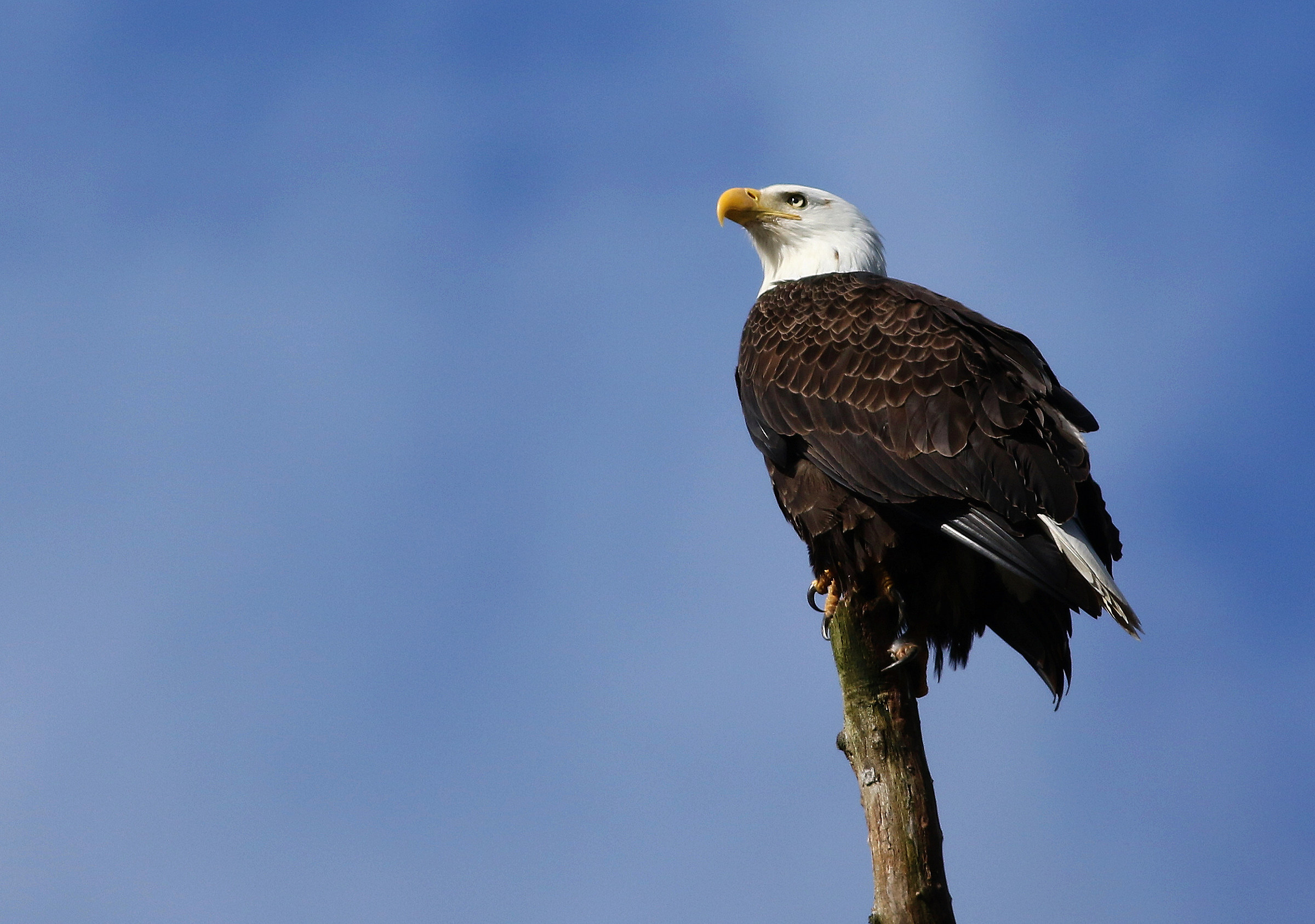 Uno sguardo contemplativo