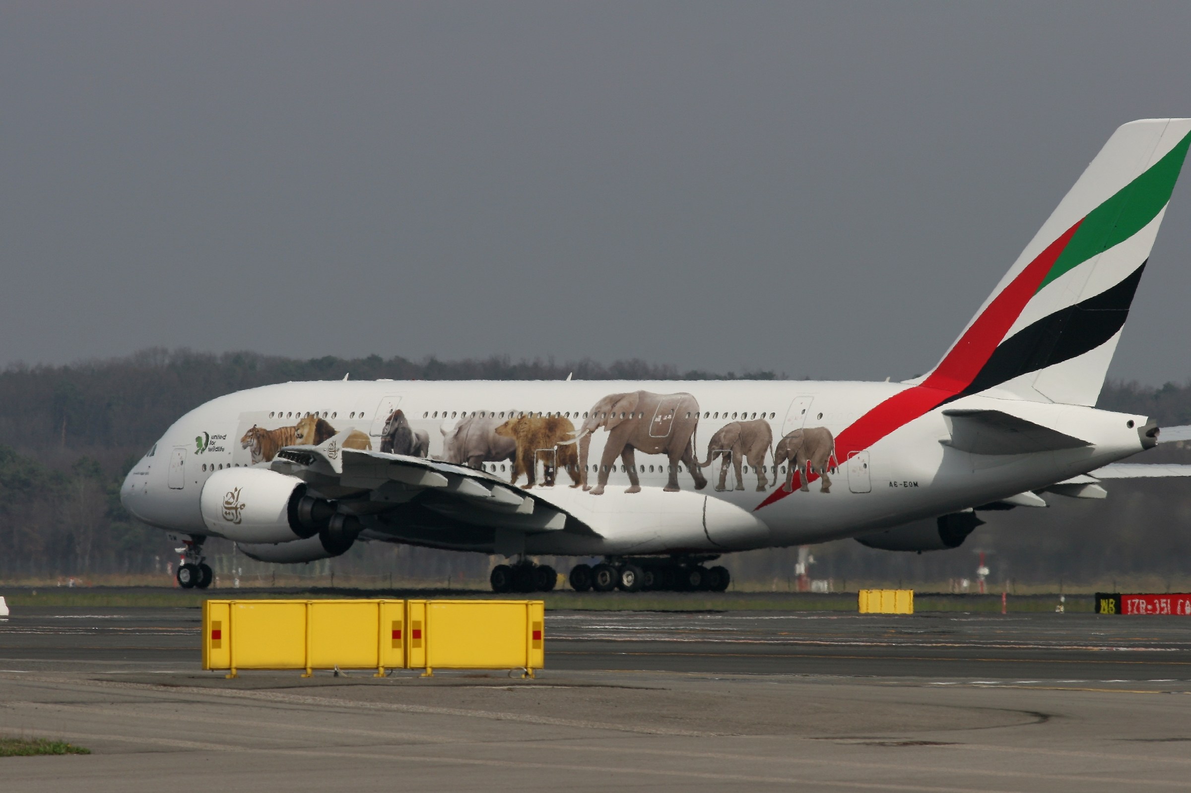 messaggero del cielo: united for wildlife.