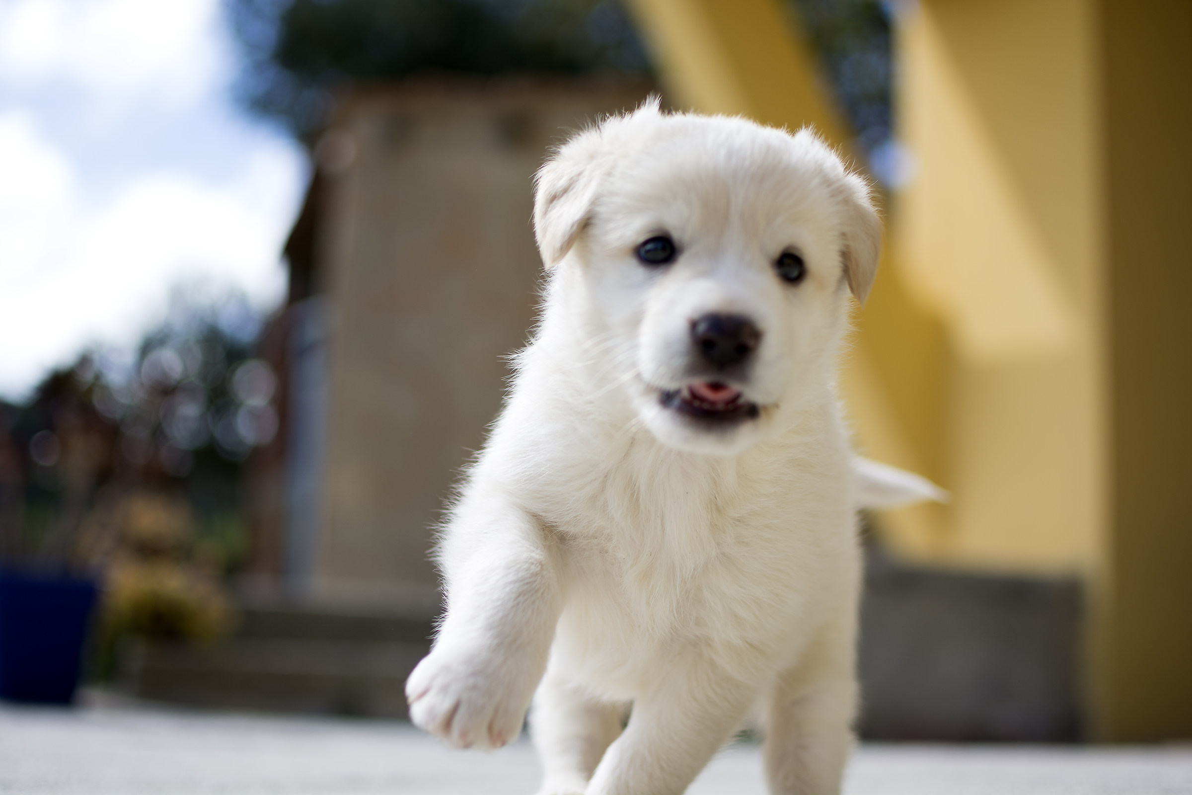 SKY La Nuova arrivata