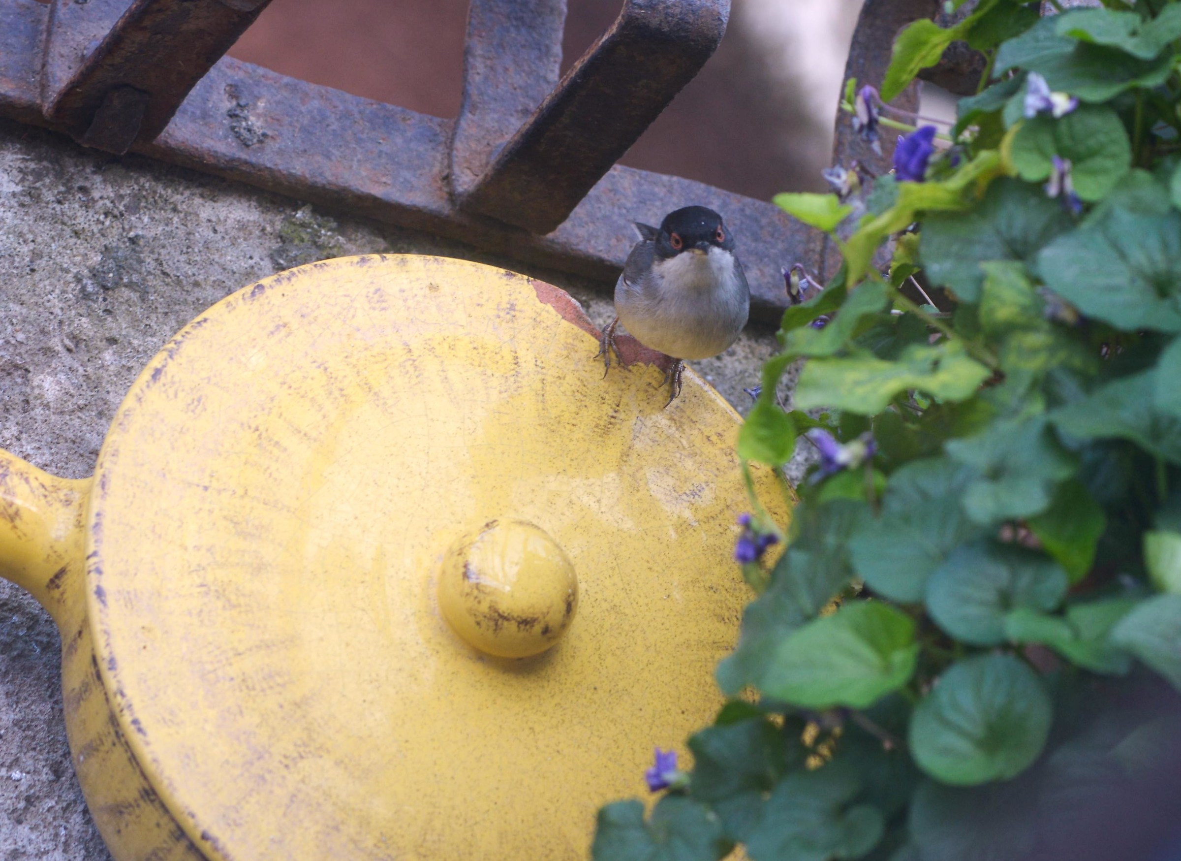 What are you looking?