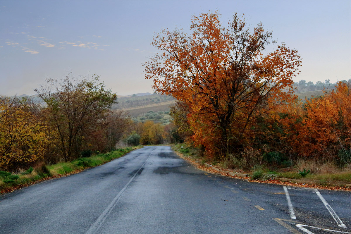 Autumn in Sicily