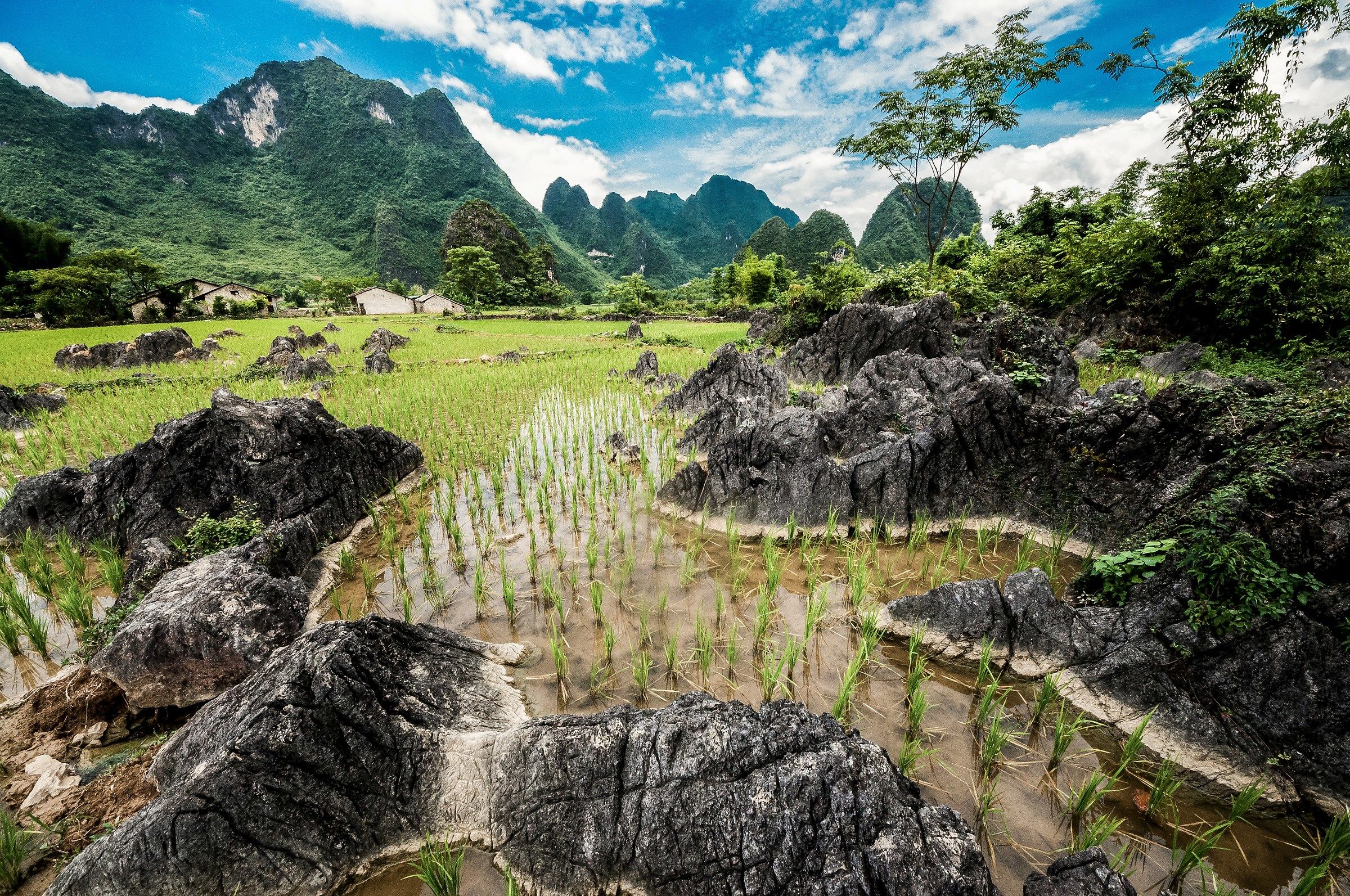 Cao Bang / Bang Play / 2 (re-posted)