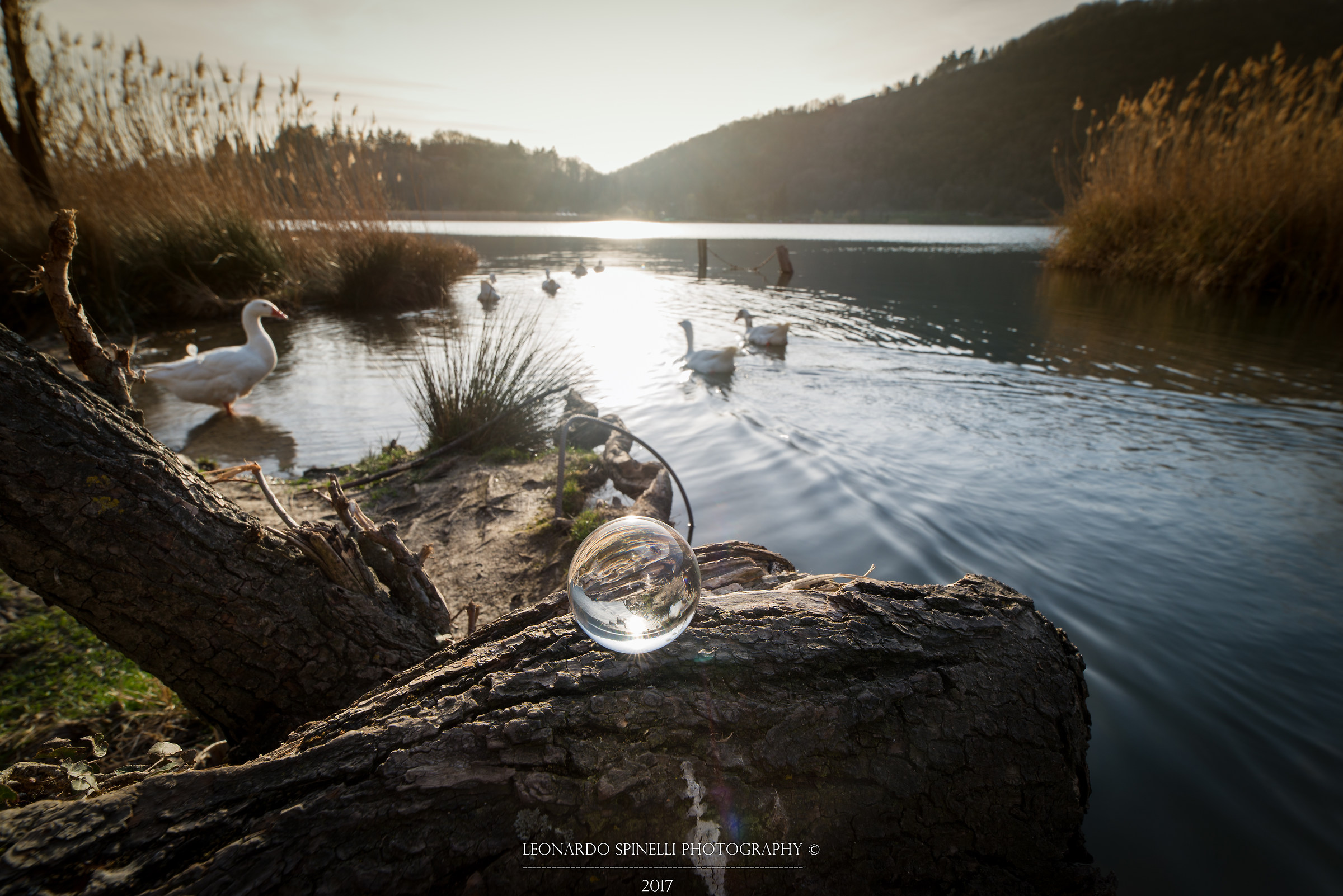 ride on the lake ...