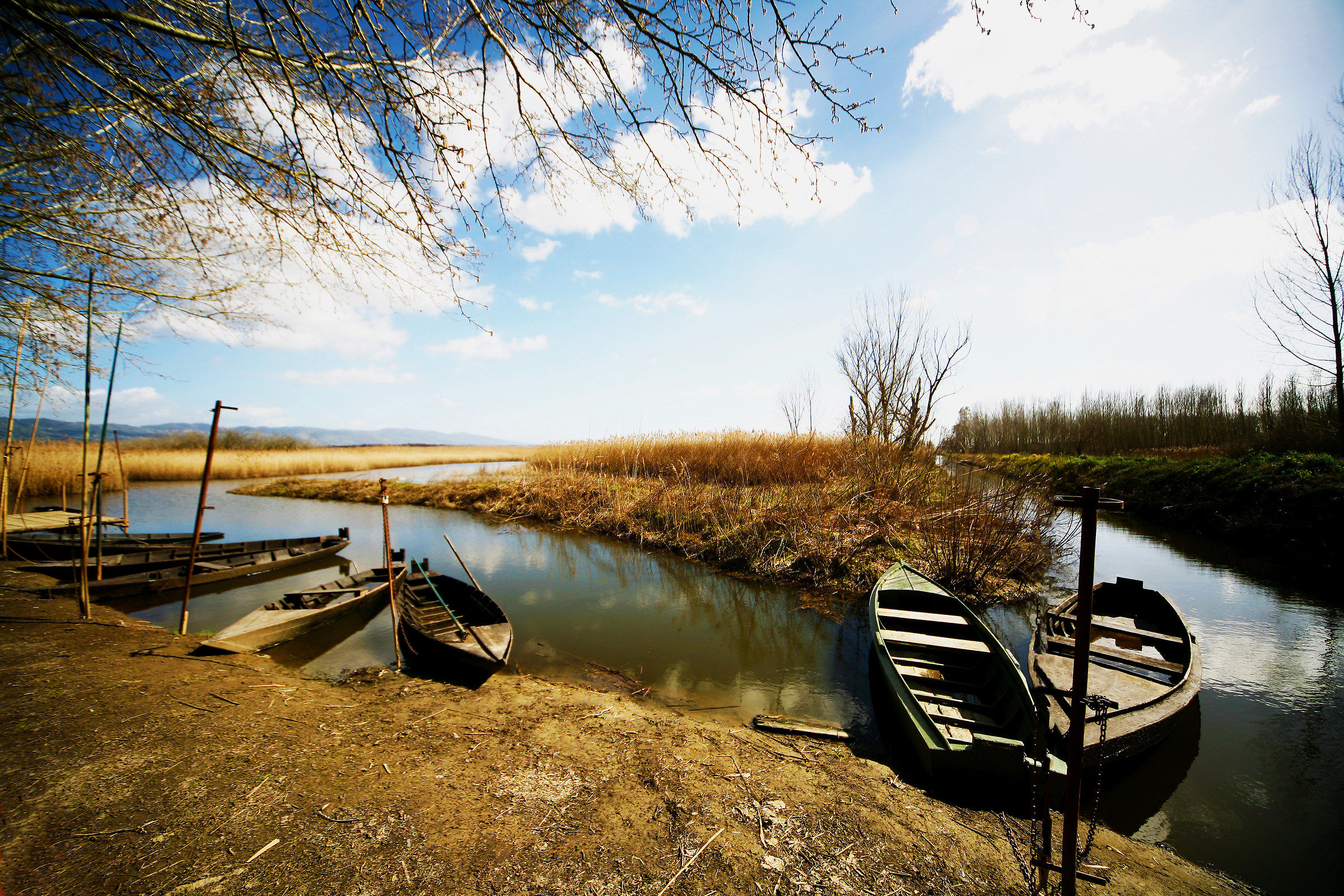 Anchione (fucecchio)