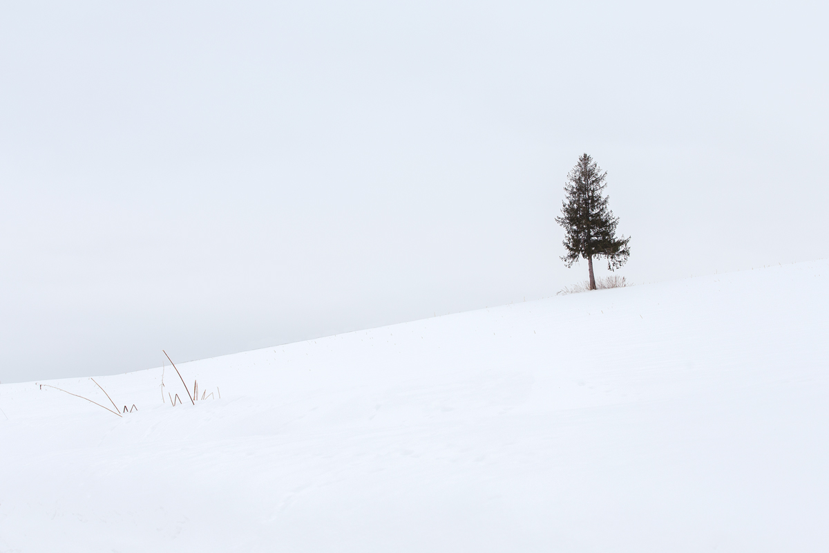 Minimal Biei Landscape