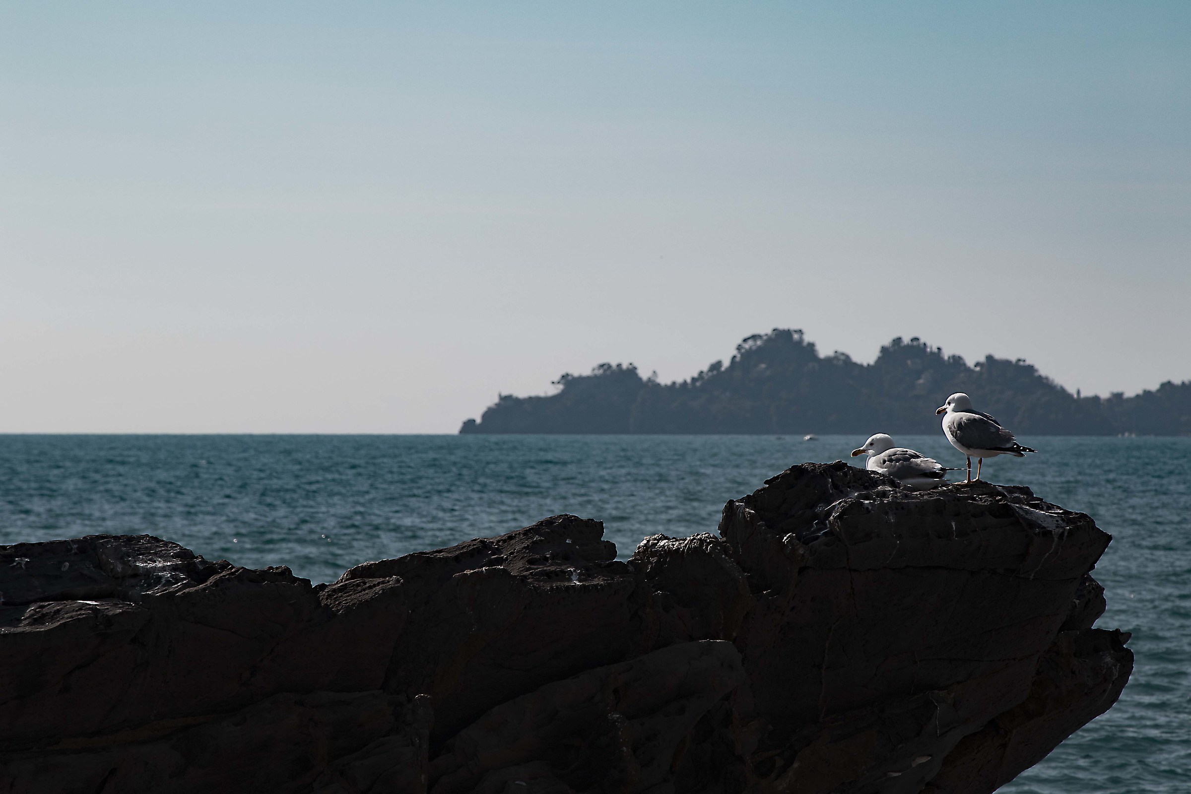 looking at Portofino
