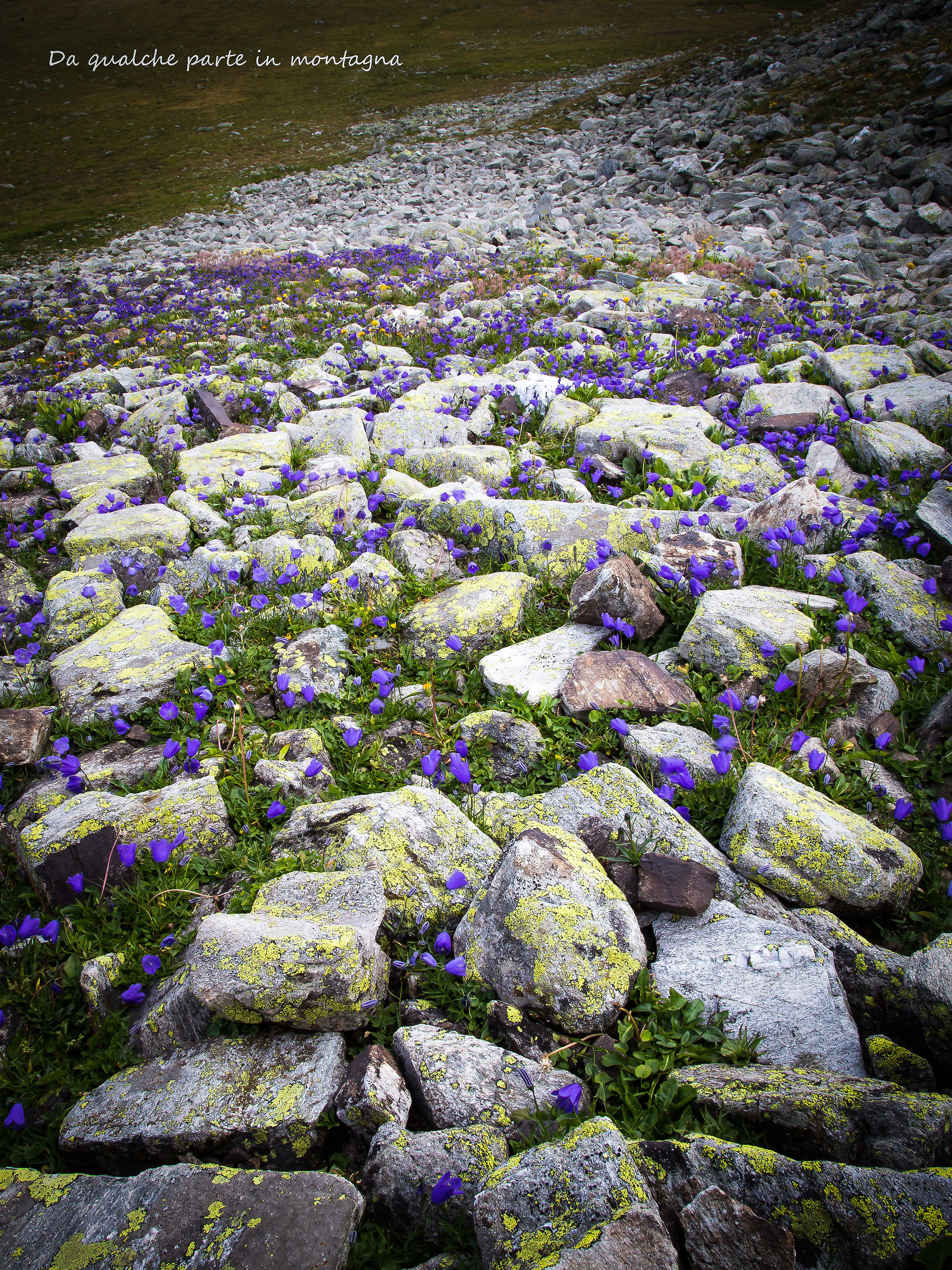 Somewhere in the mountains