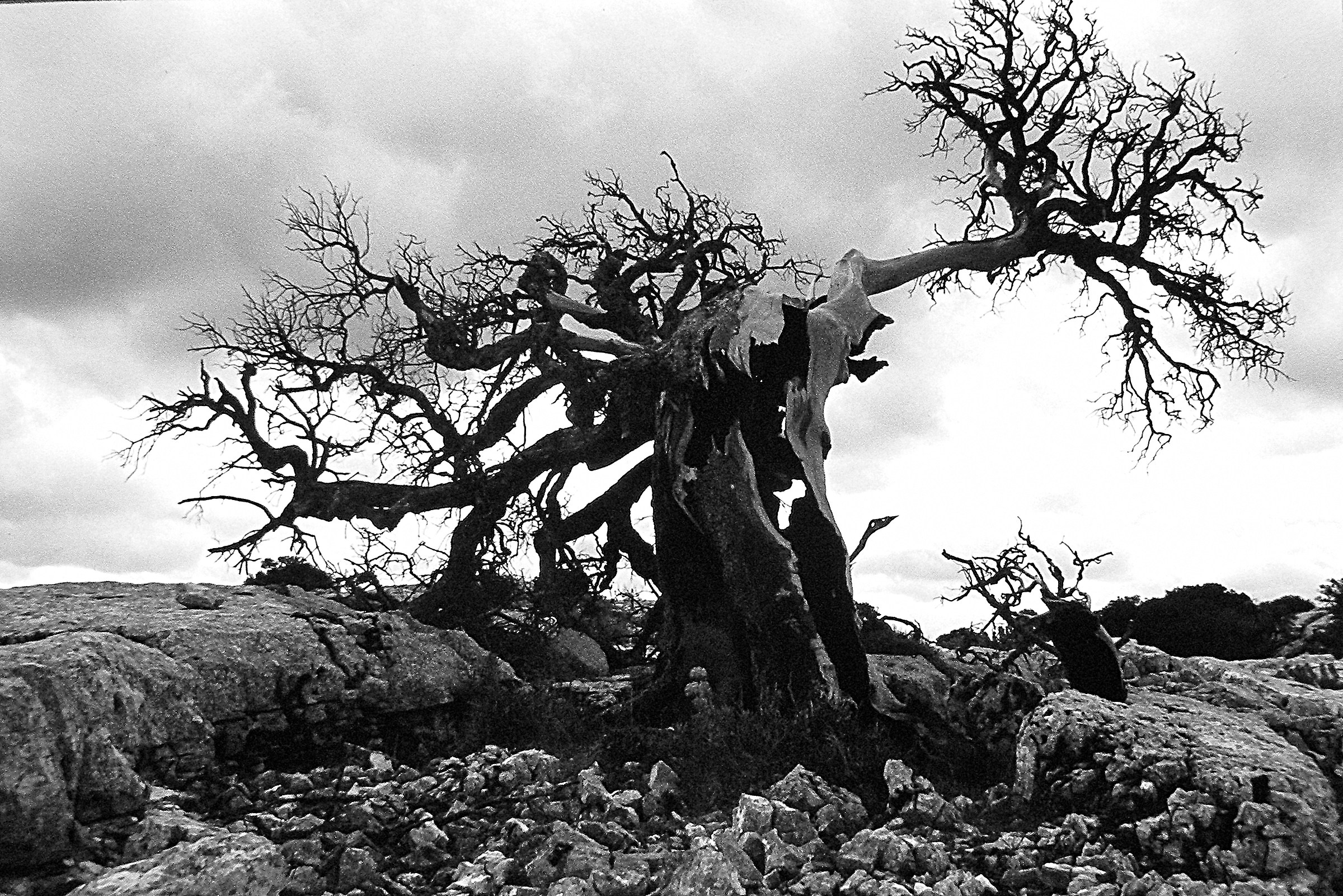 Schiantato - Supramonte 1981