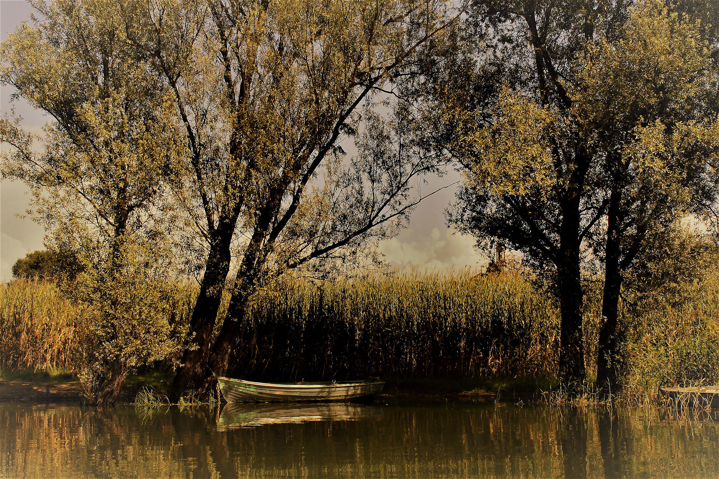 Immersione nella quiete ...