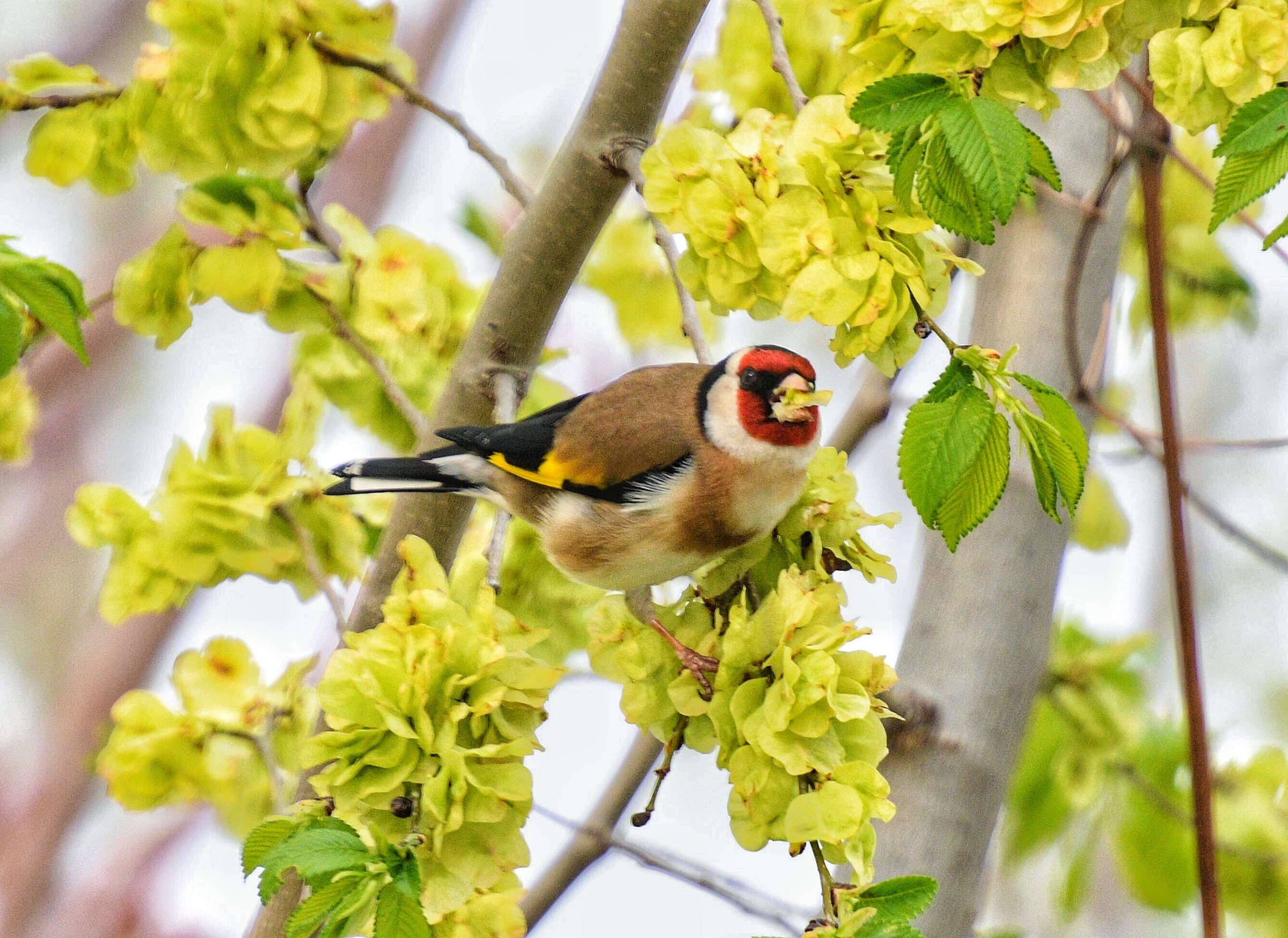 Heeeiiii !!! Yes, I speak with you!